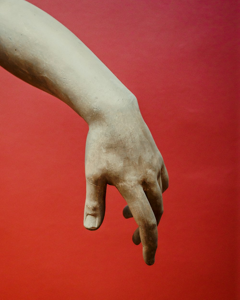 mão humana esquerda