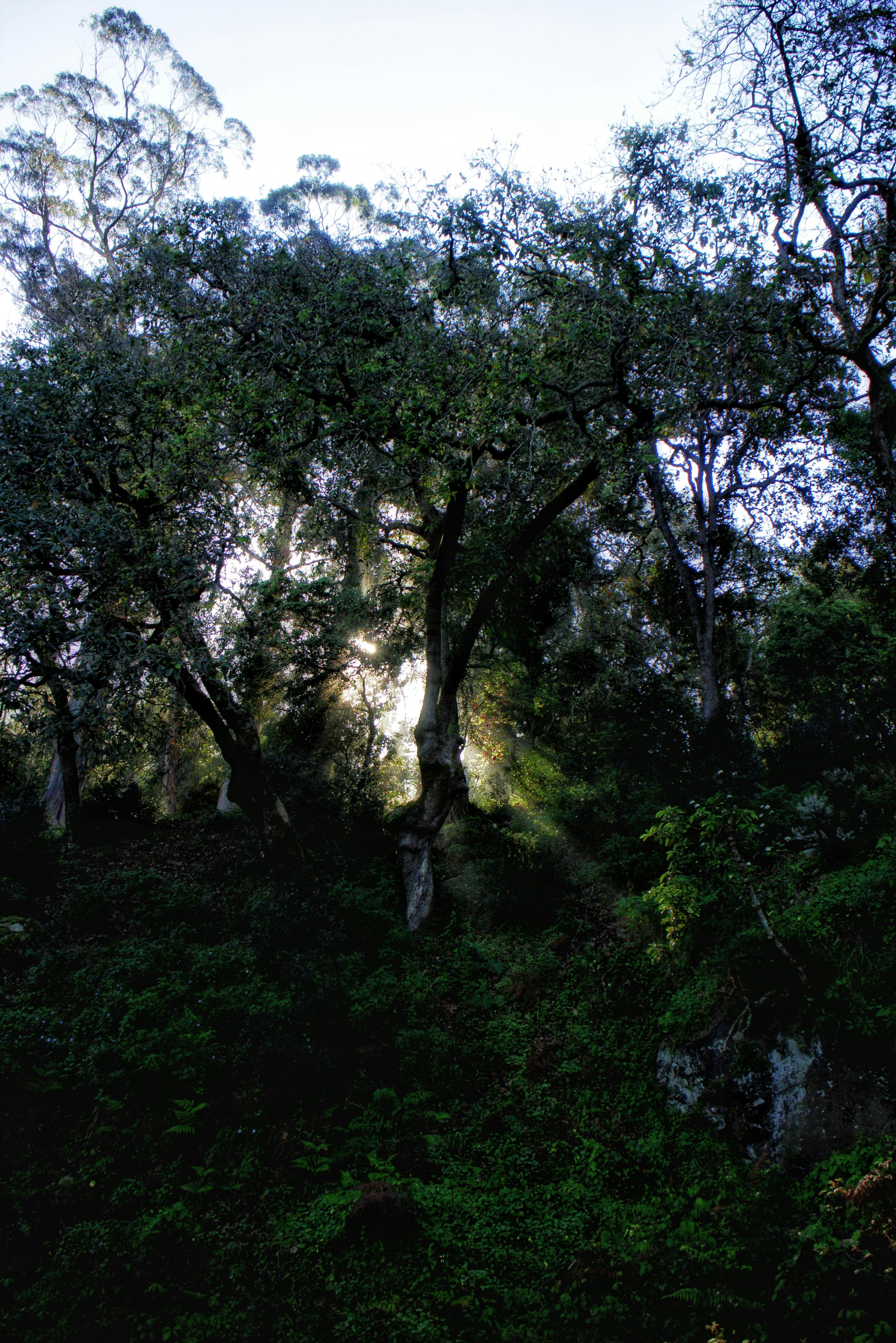 Photo by mohamed_photo