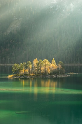 protected trees surrounded by water showing the potential of sustainable living