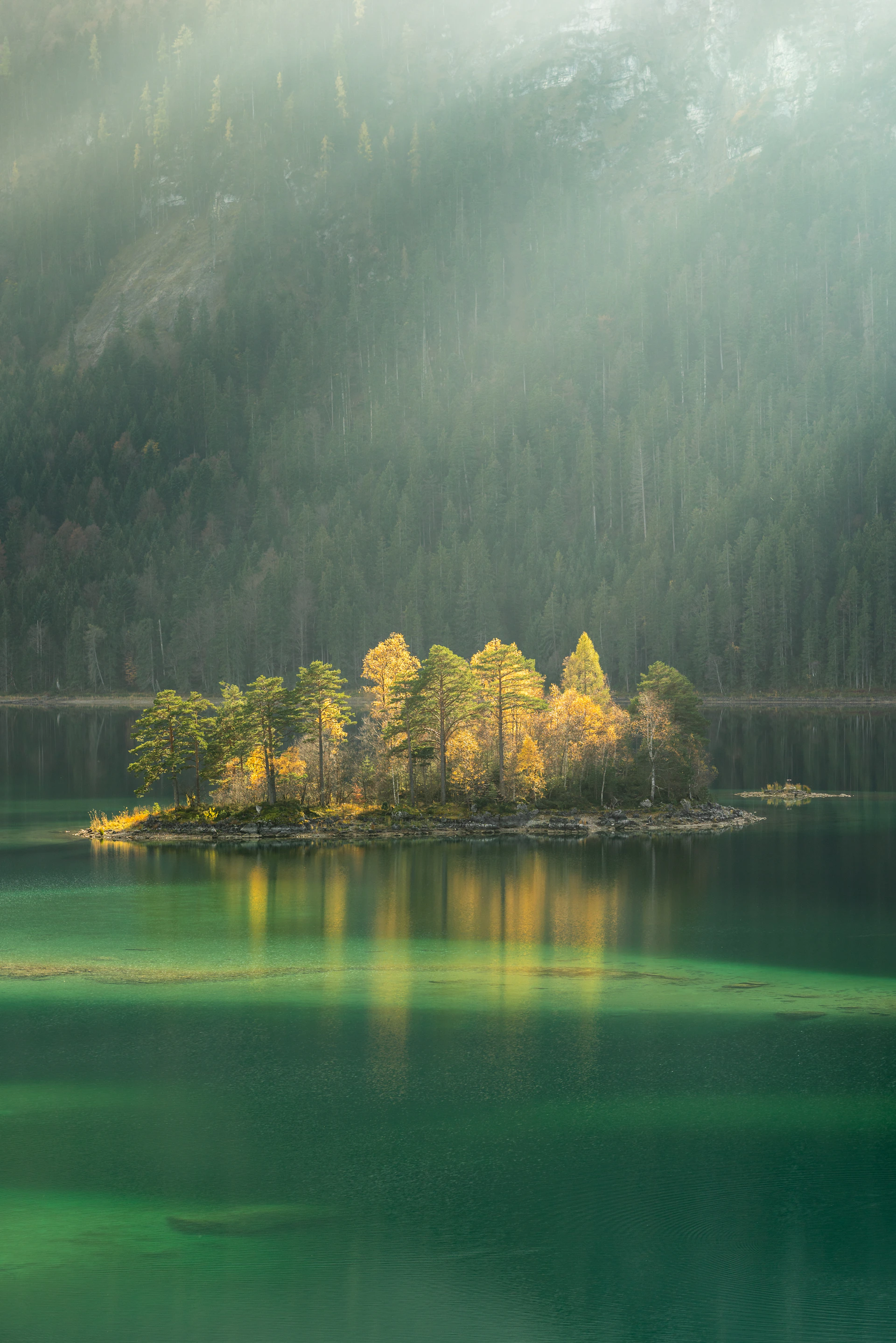 trees surrounded by body water during daytime