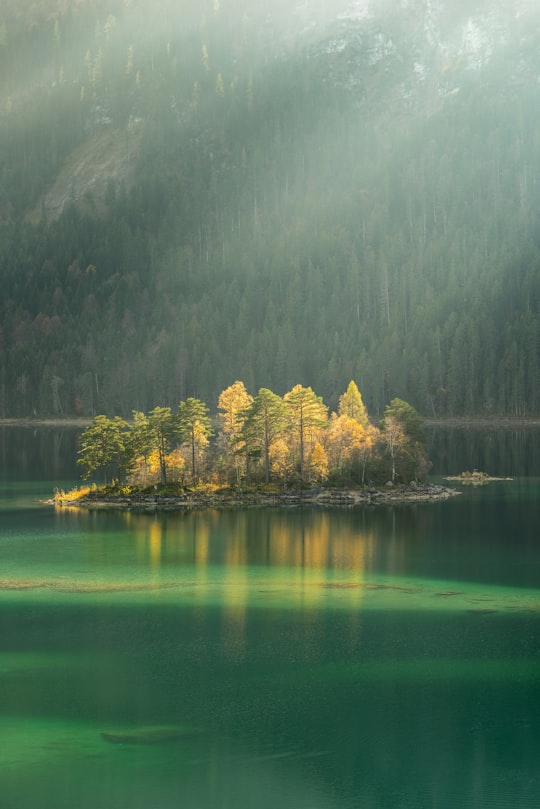 trees surrounded by body water during daytime in Eibsee Germany