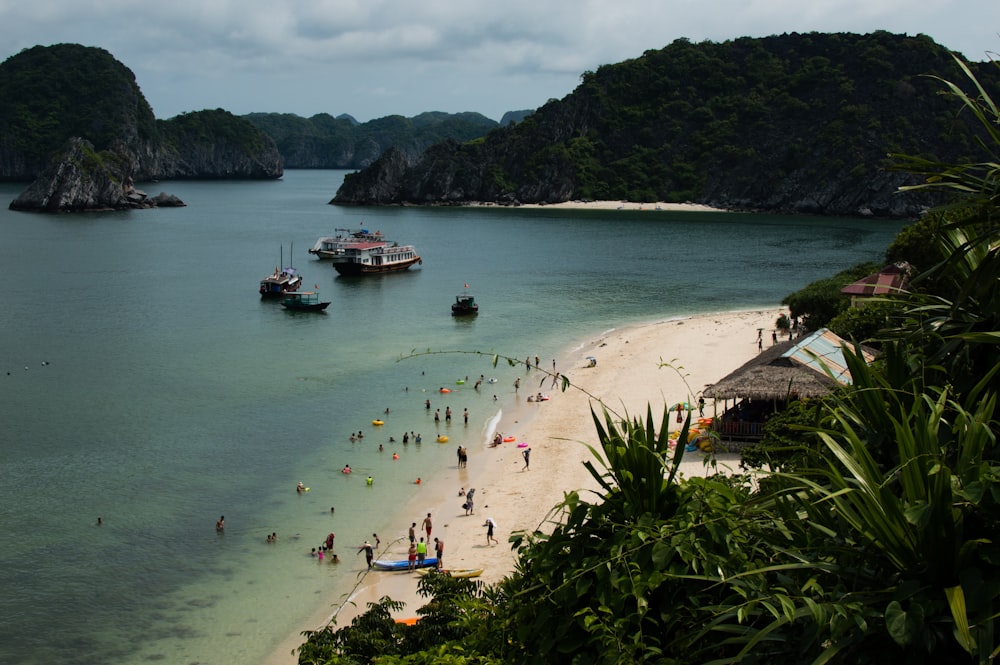 people on beach