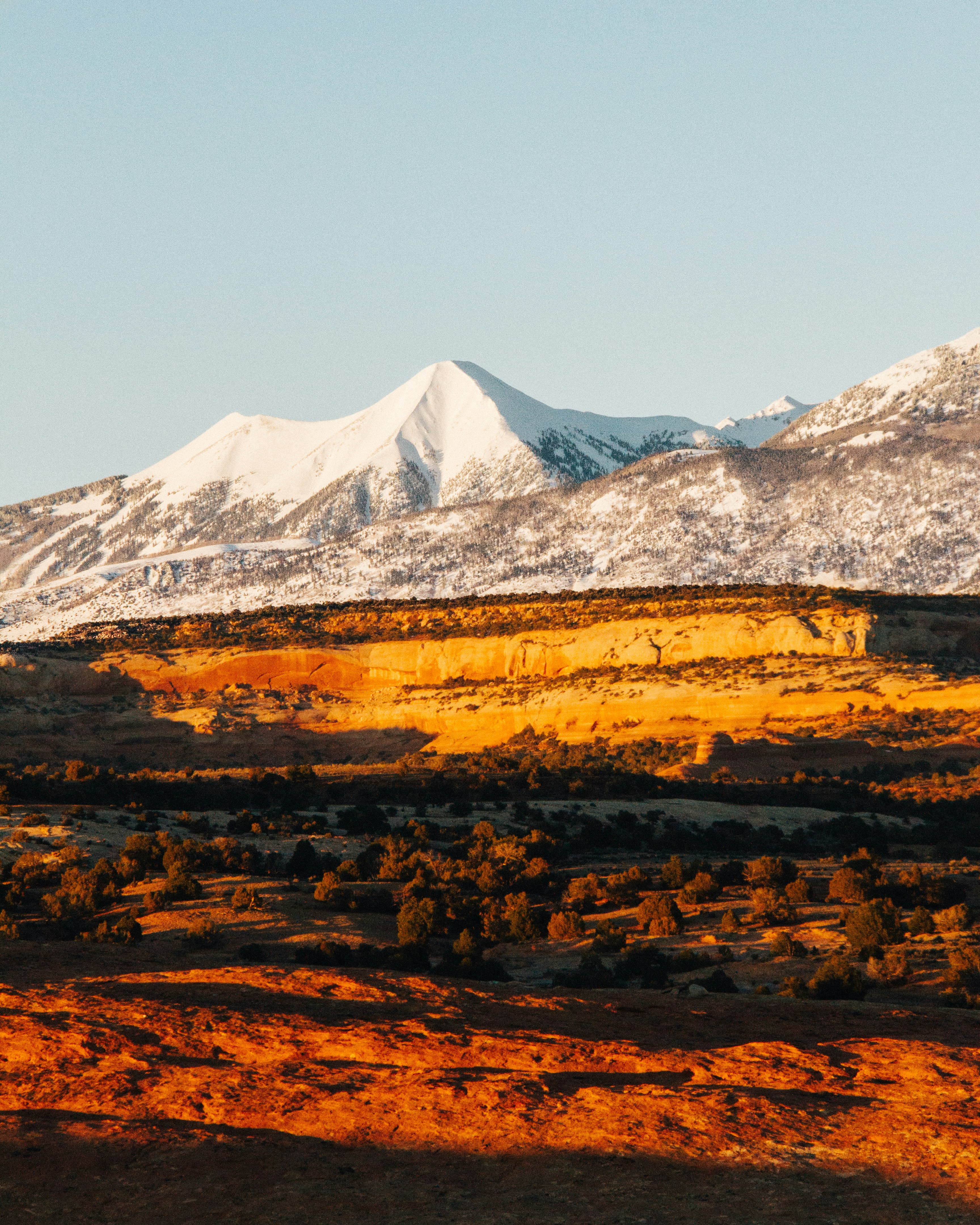 high-angle photography of trees and snow-covered mountain