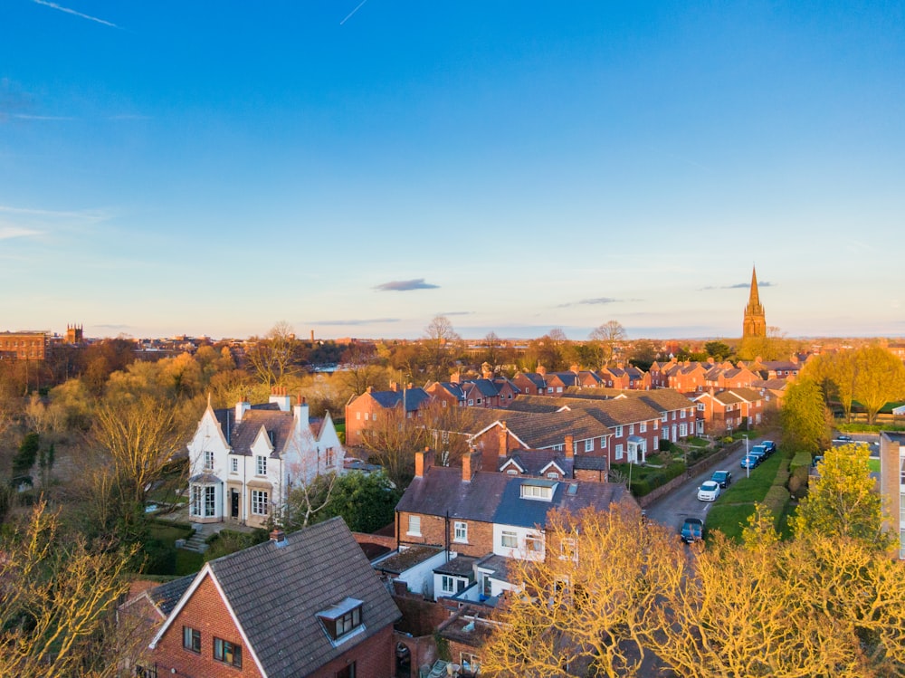 Photographie en plongée de maisons entourées d’arbres