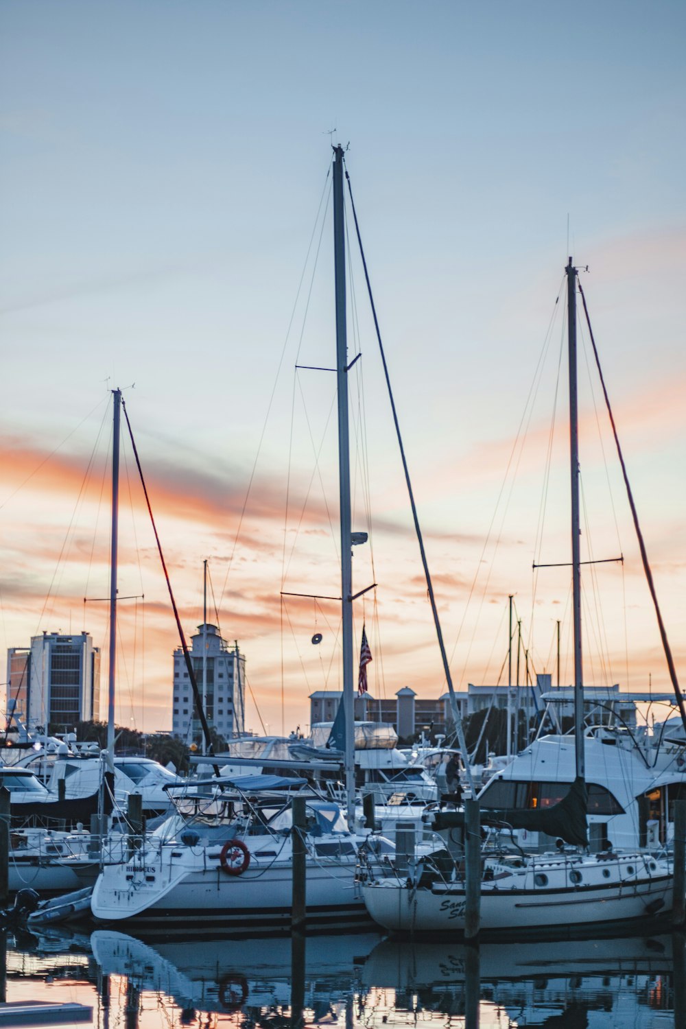 yachts docked on docking area