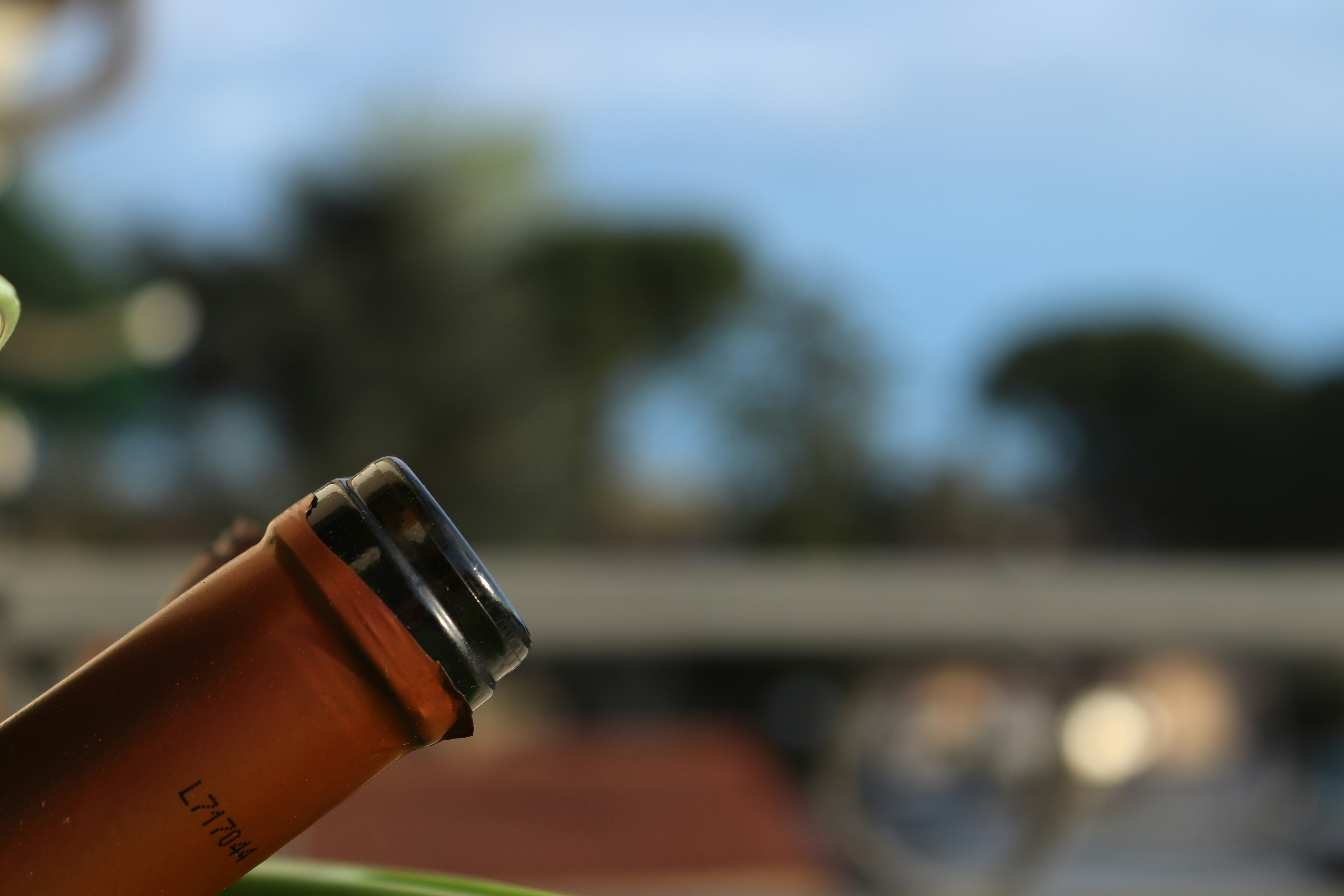 Cerveja Artesanal Premium