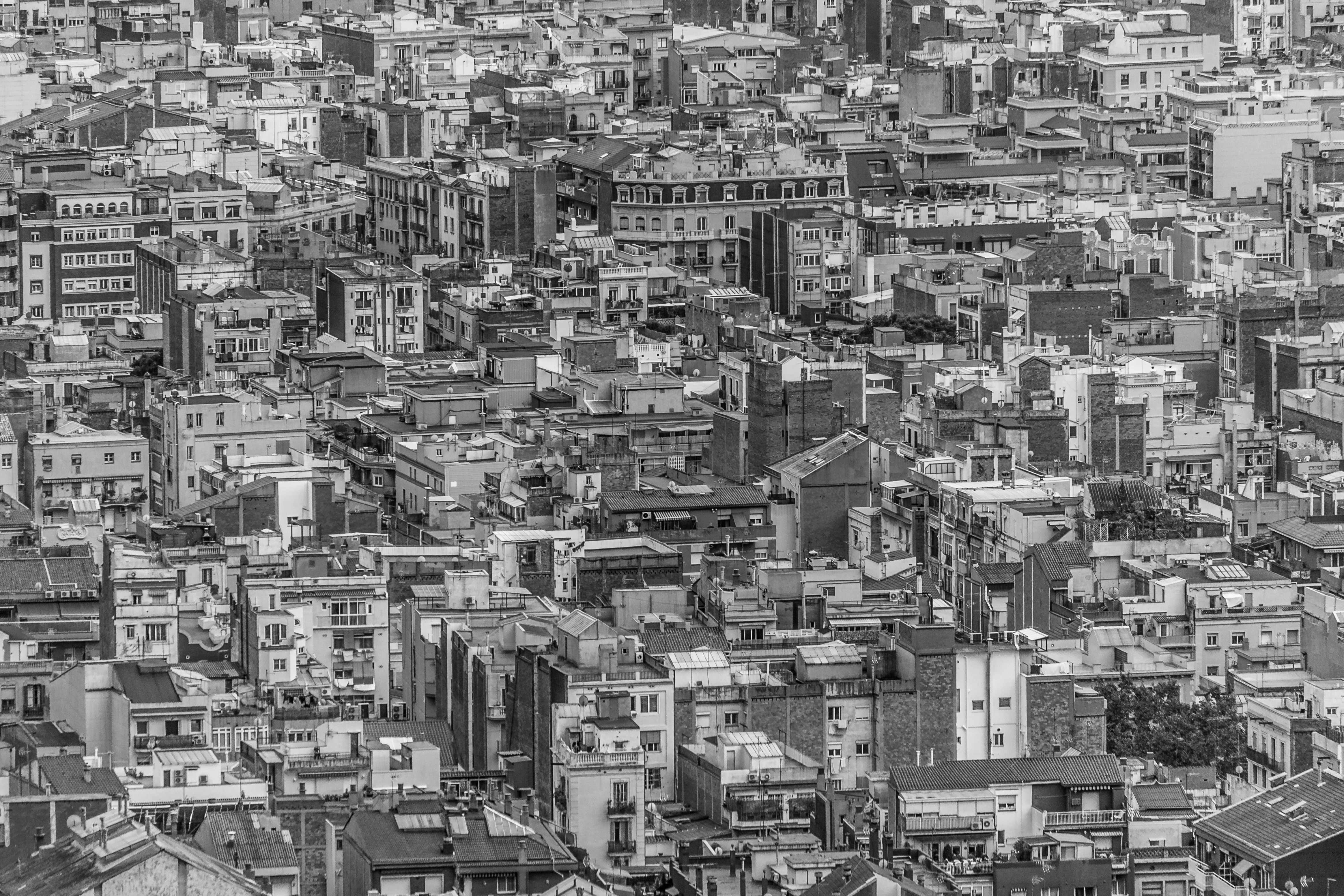 Photo by alexkurchev