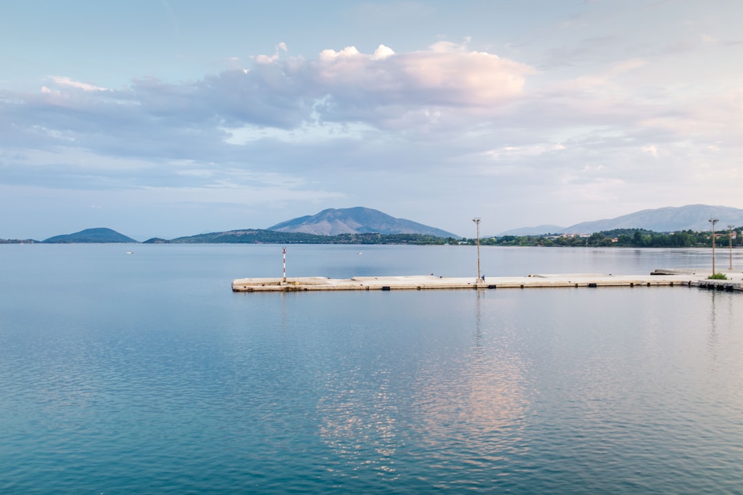 brown dock on body of water