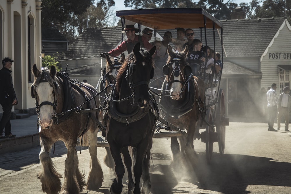 tourist riding coach