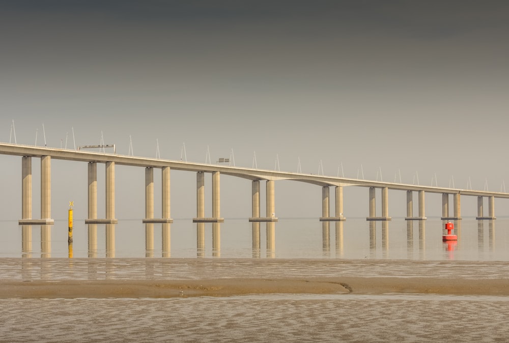 brown concrete bridge