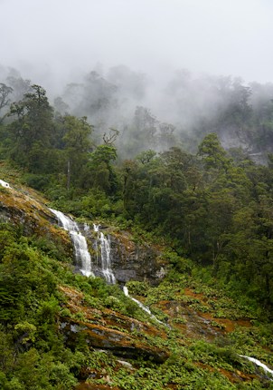 A lush green forest with dense trees and vegetation is enveloped in a layer of mist. A gentle waterfall cascades down a rocky surface, blending harmoniously with the surrounding foliage.
