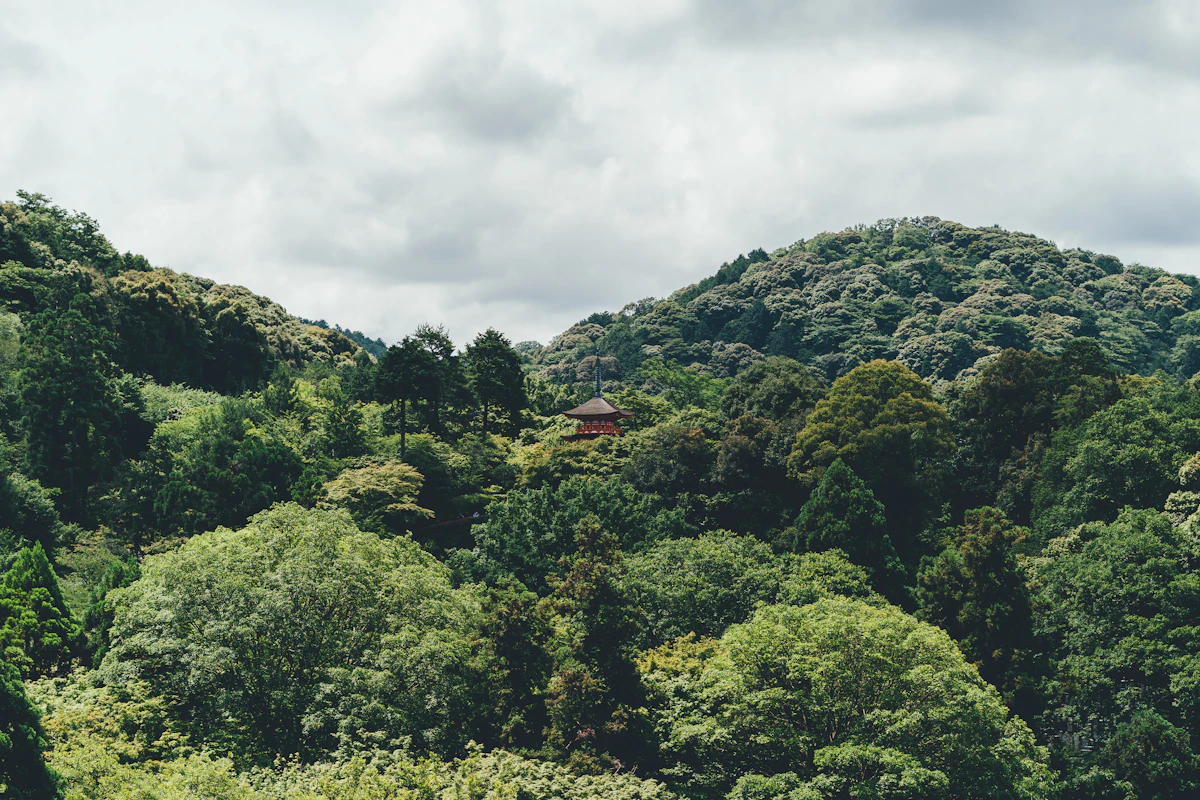 Mountain river valley with forested slopes in Minakami, Gunma Prefecture, Japan