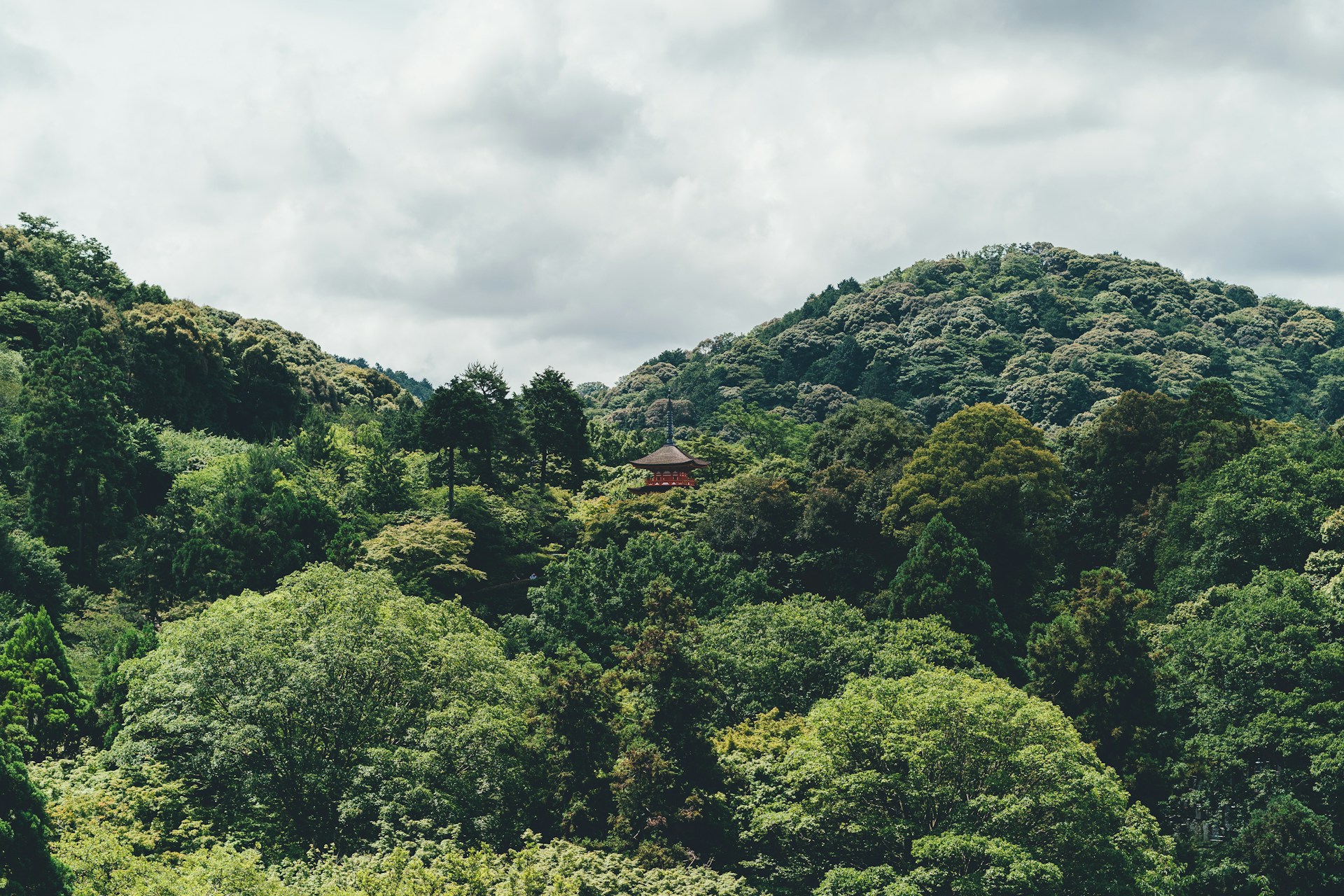 landscape photography of green mountain
