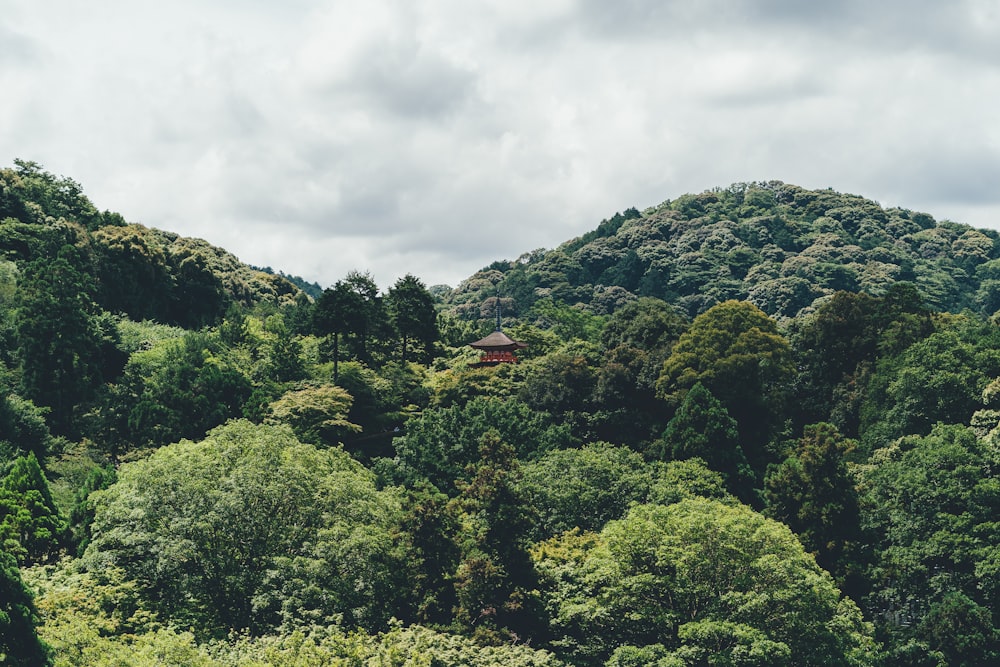 landscape photography of green mountain