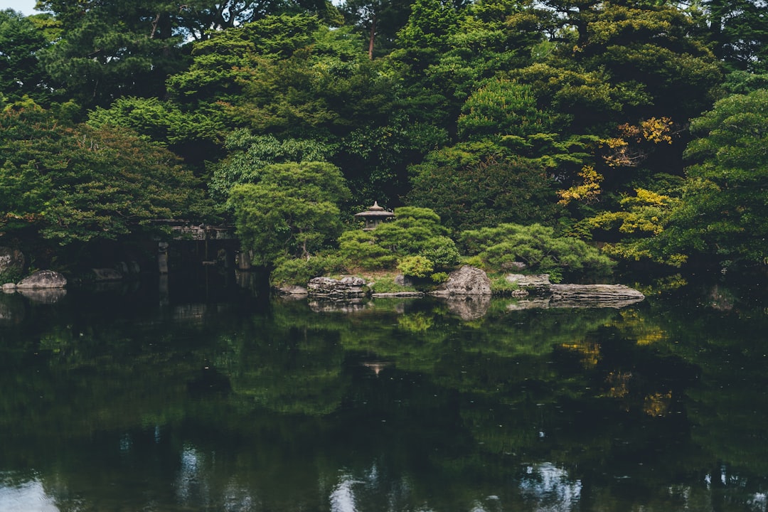 calm body of water