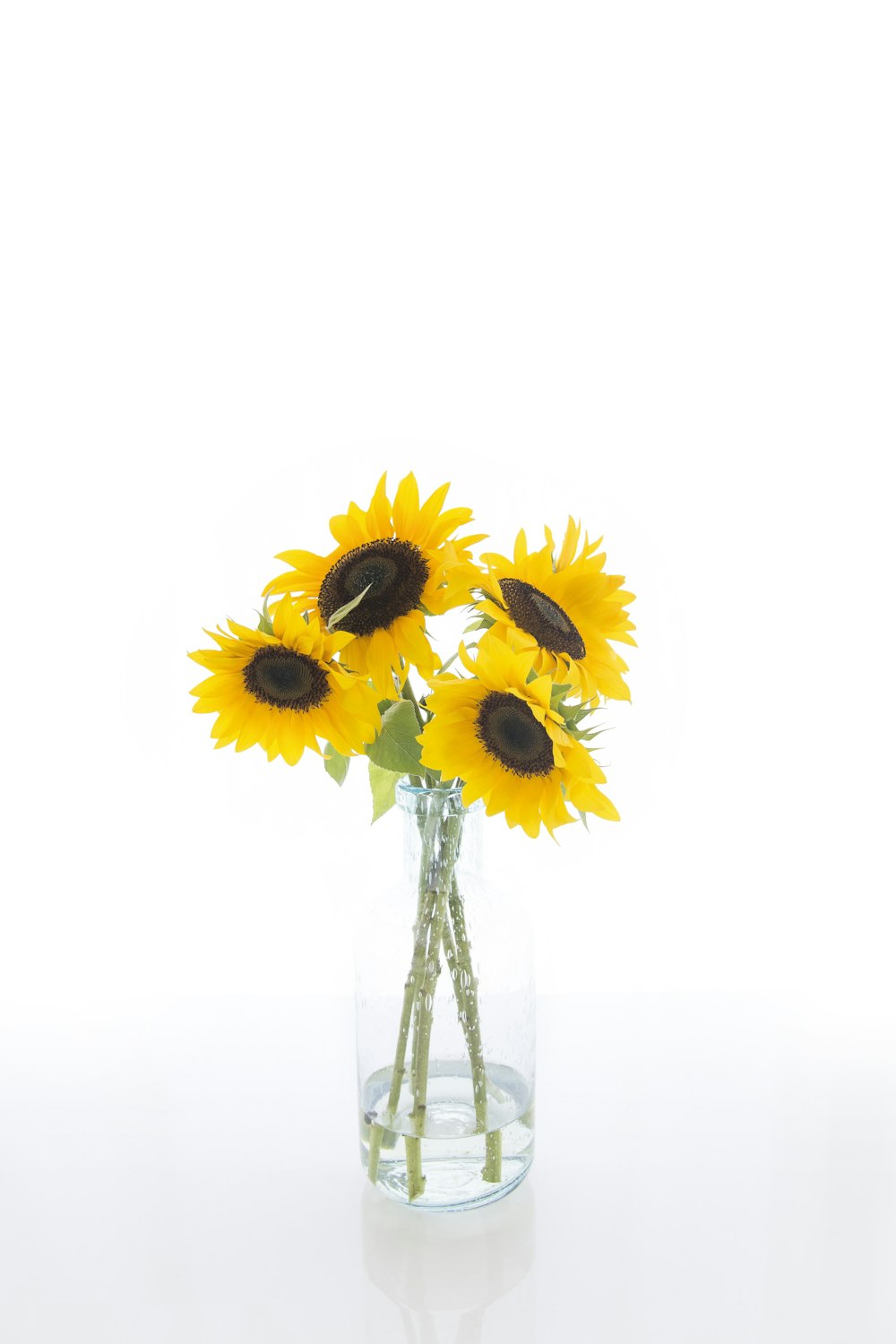 vier gelbe Sonnenblumen in klarer Glasvase