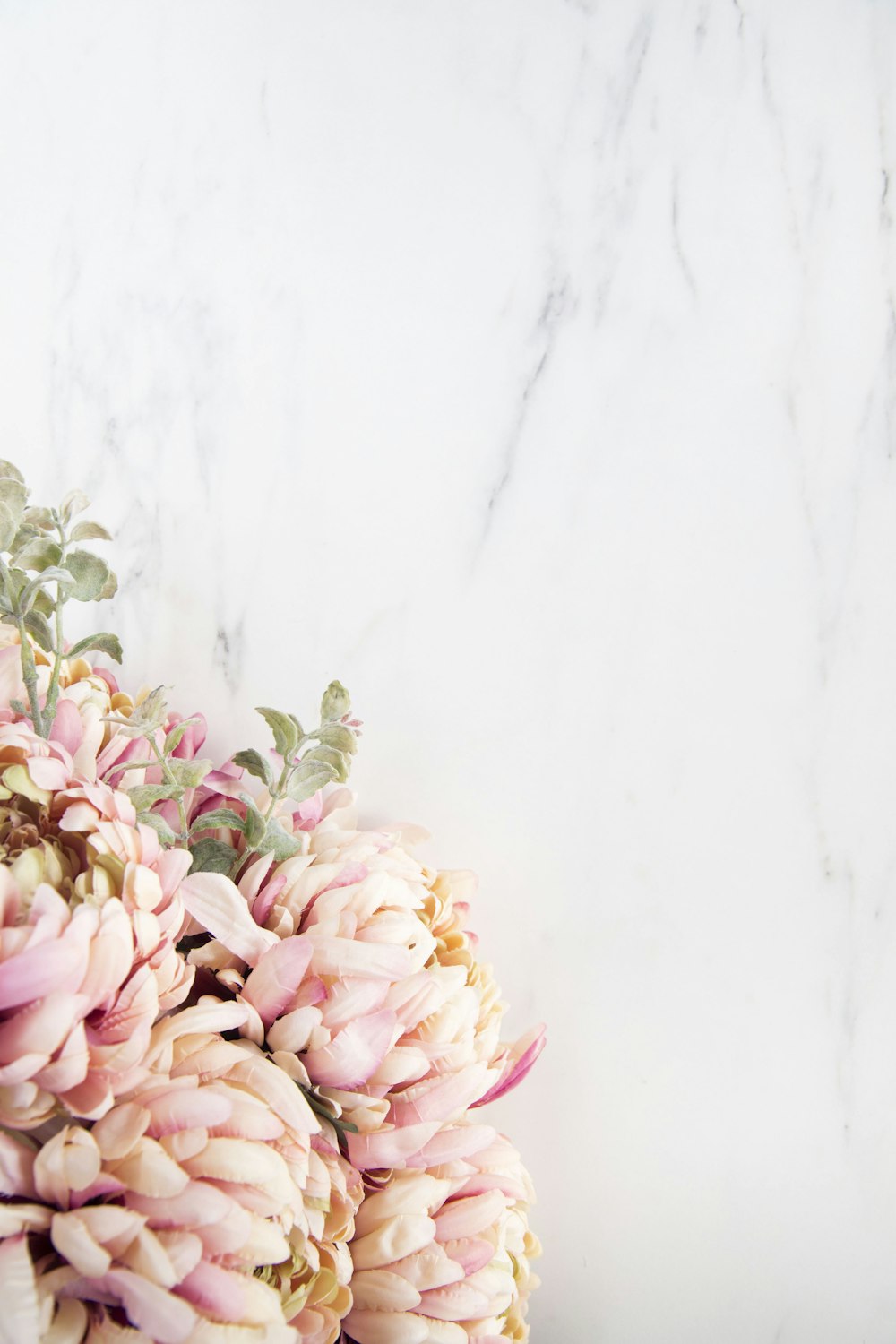 1K+ Floral Background Pictures | Download Free Images on Unsplash