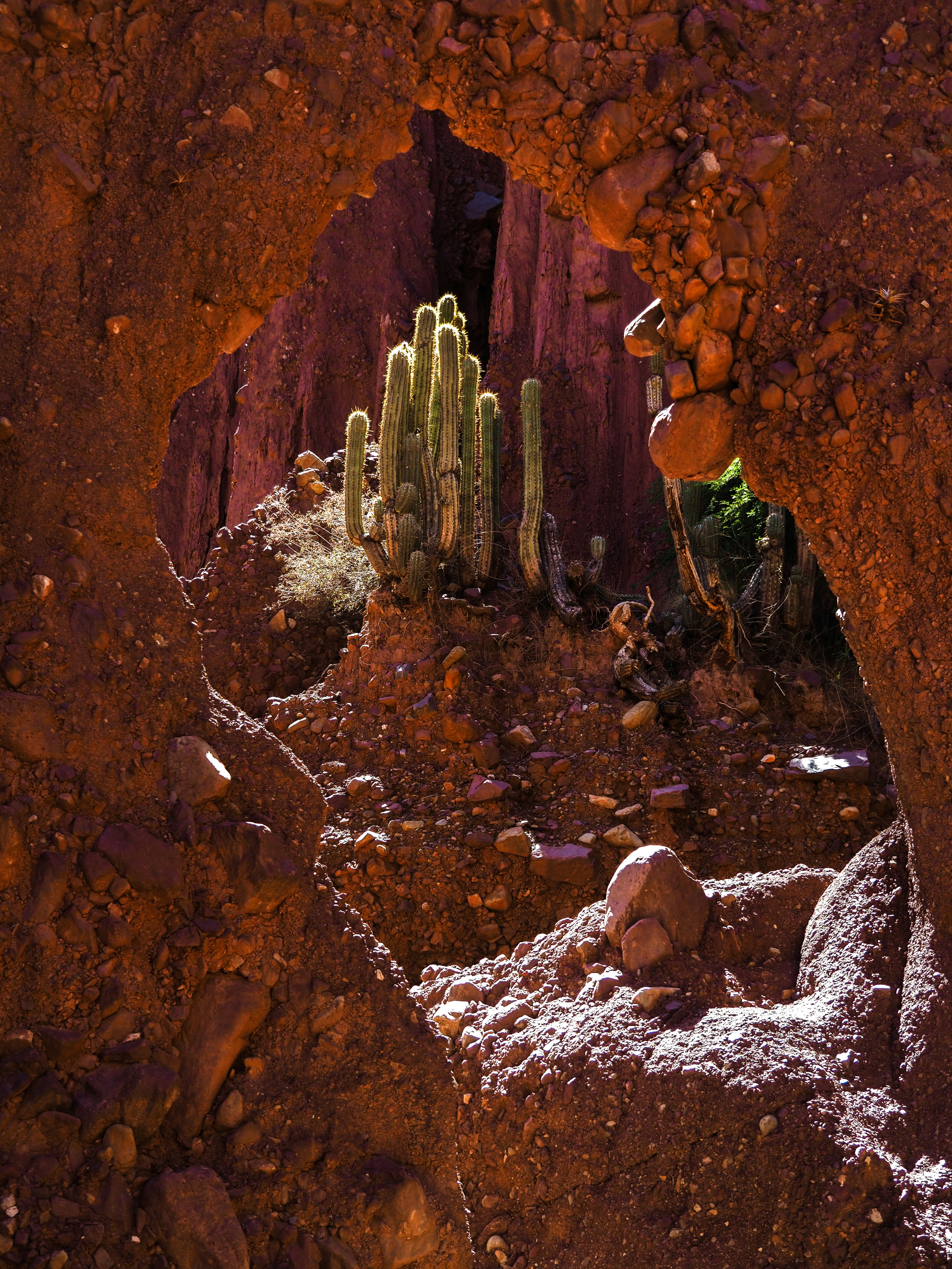 Day 4: Local Markets and Culinary Adventures