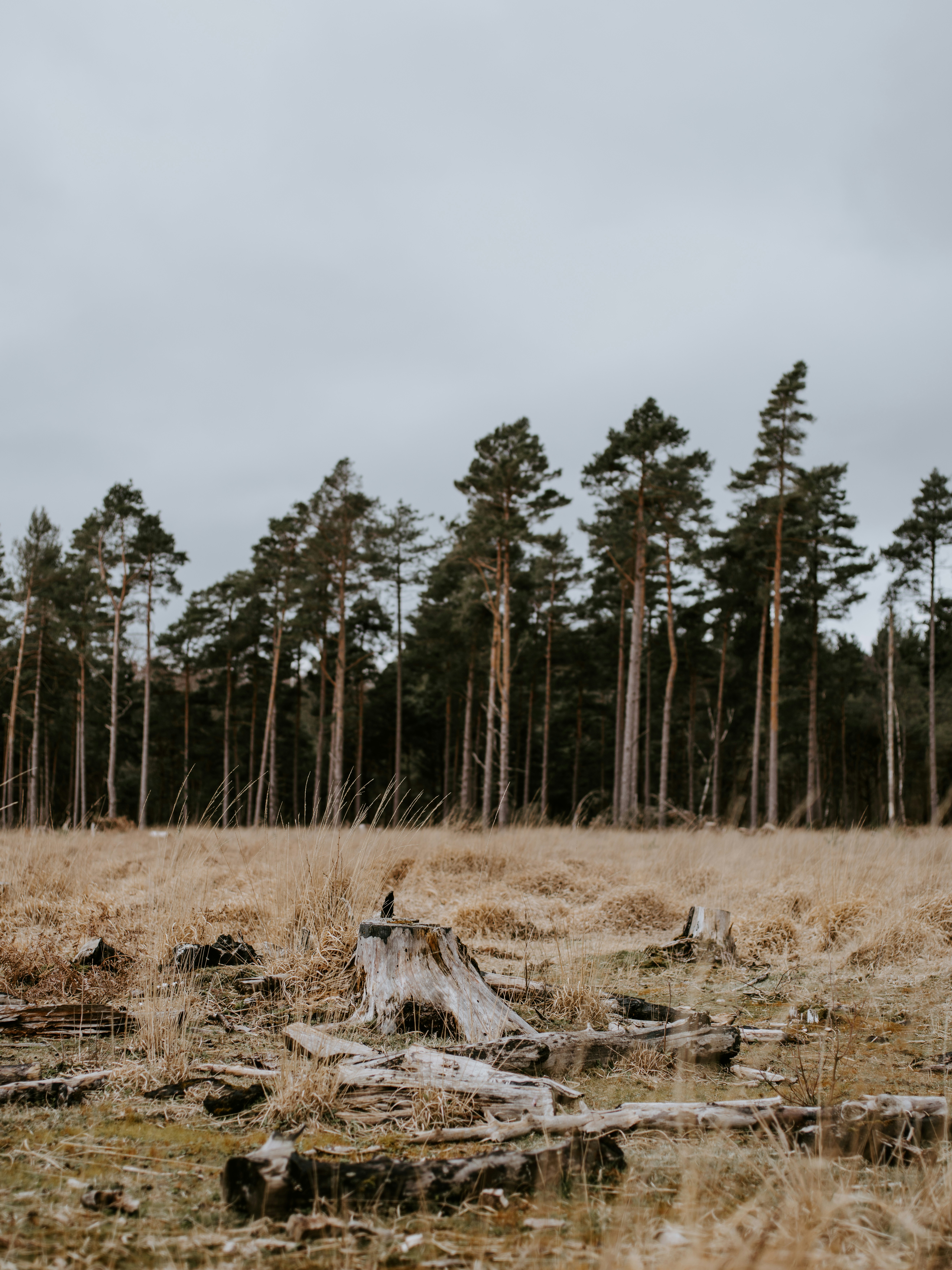 Photo by anniespratt