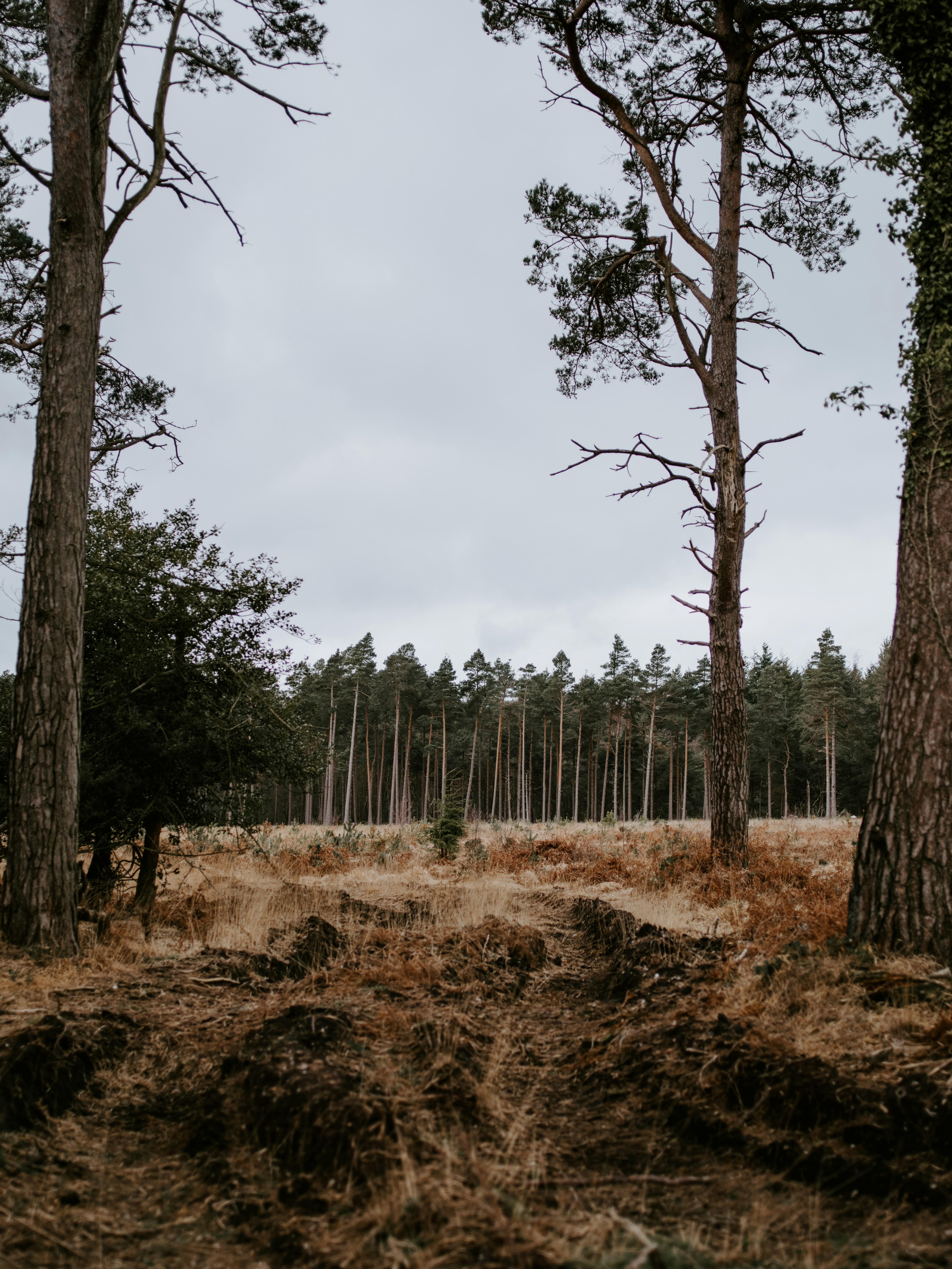 Photo by anniespratt