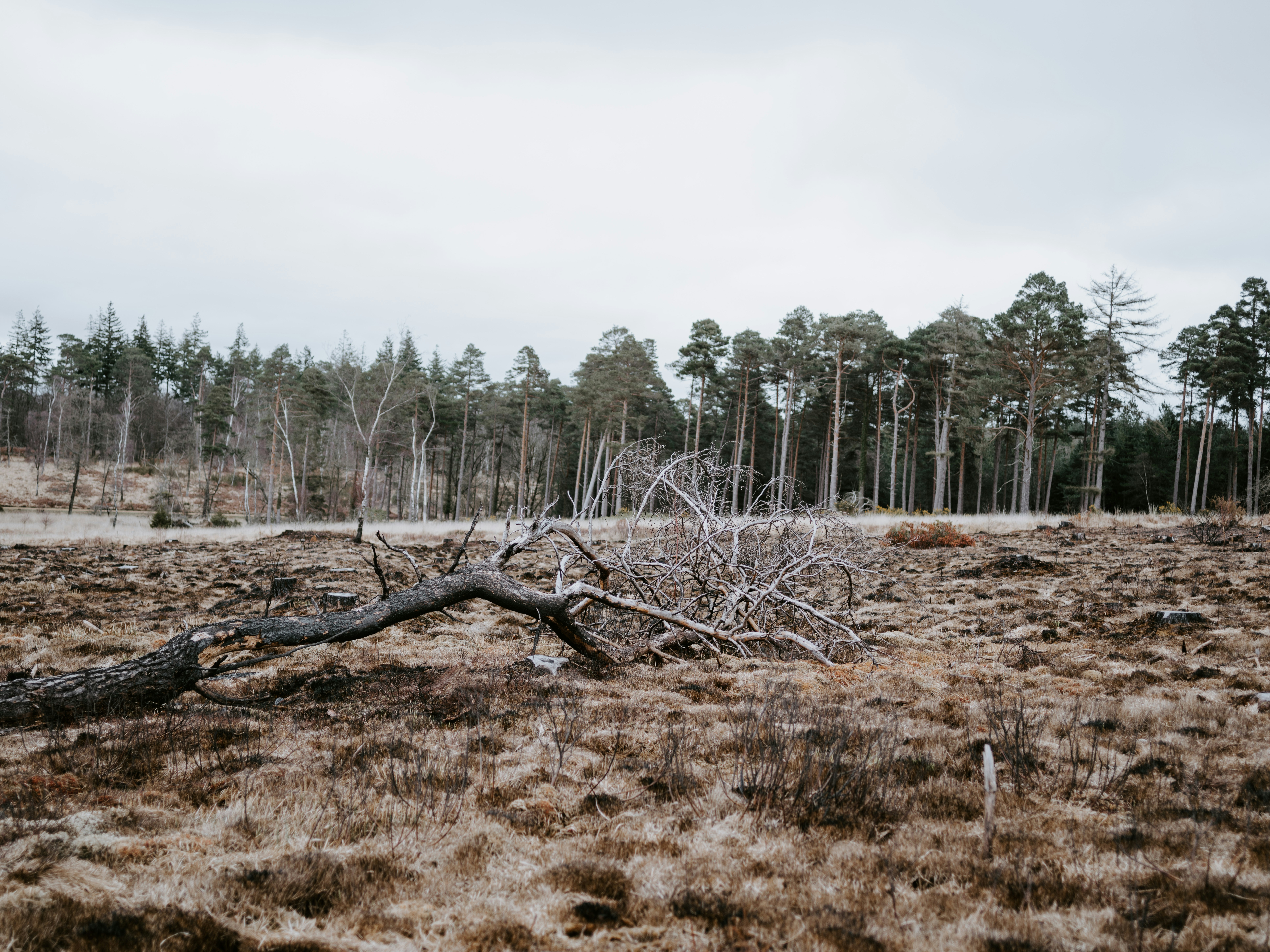 Photo by anniespratt