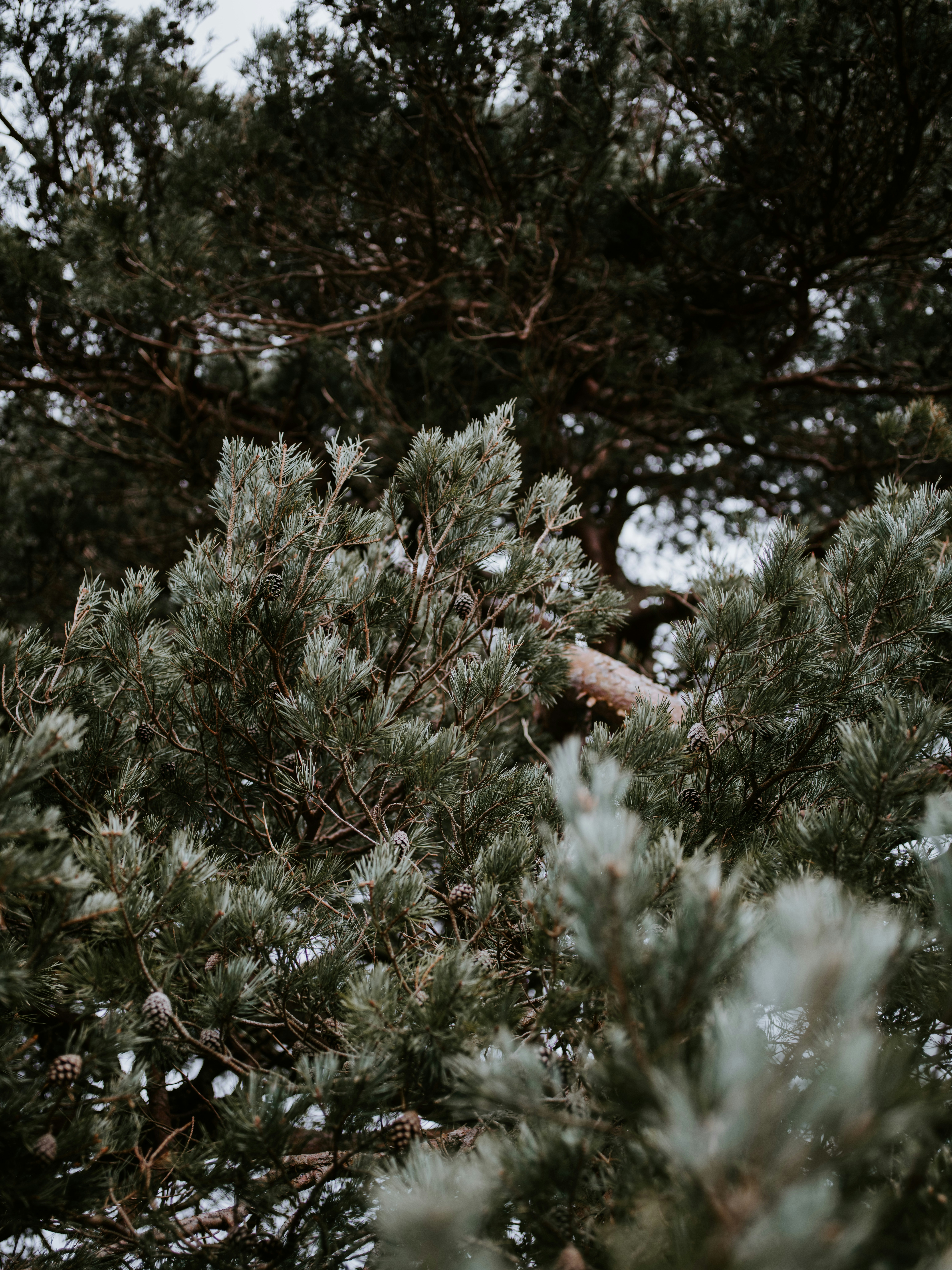 Photo by anniespratt