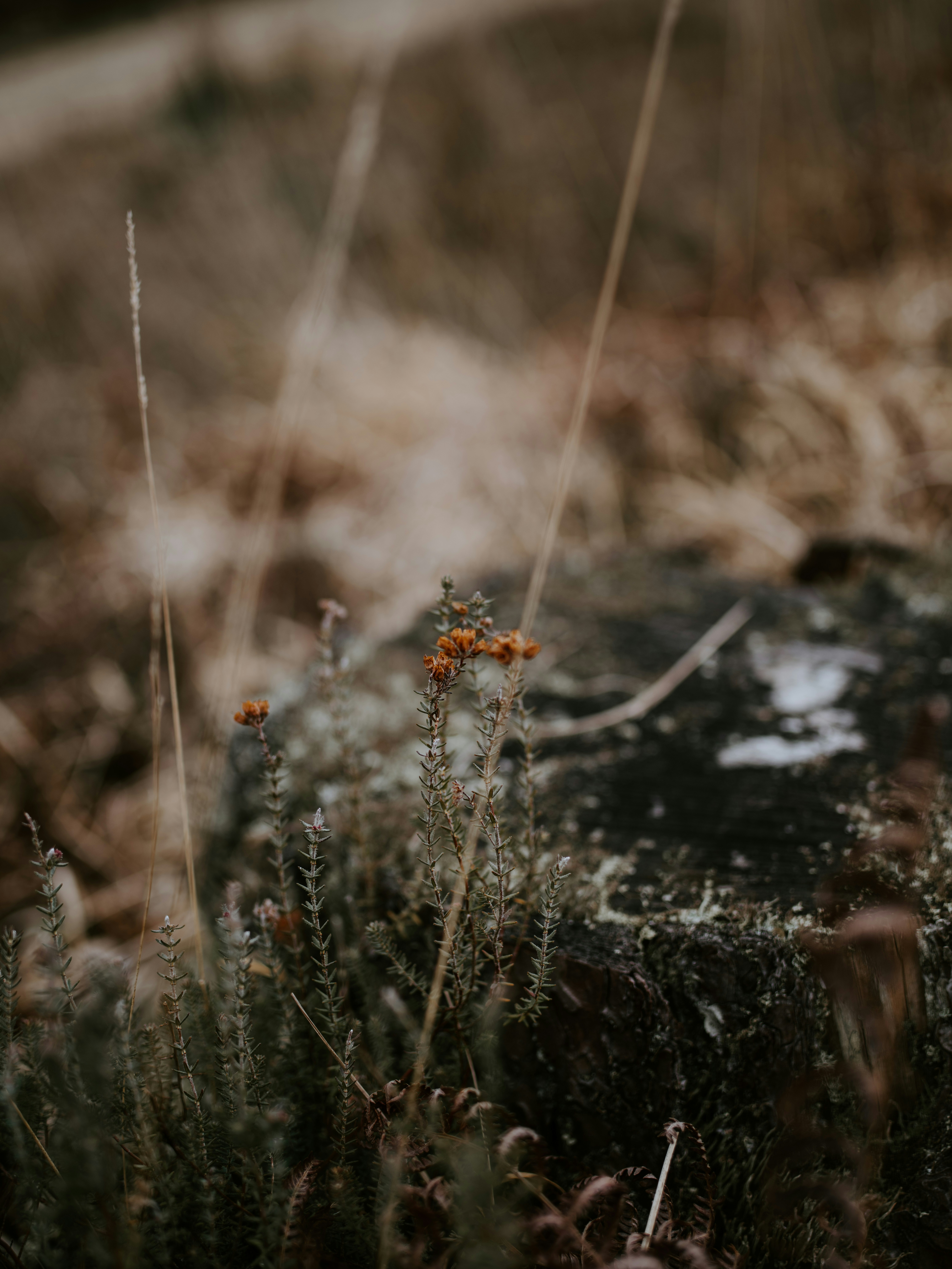 Photo by anniespratt