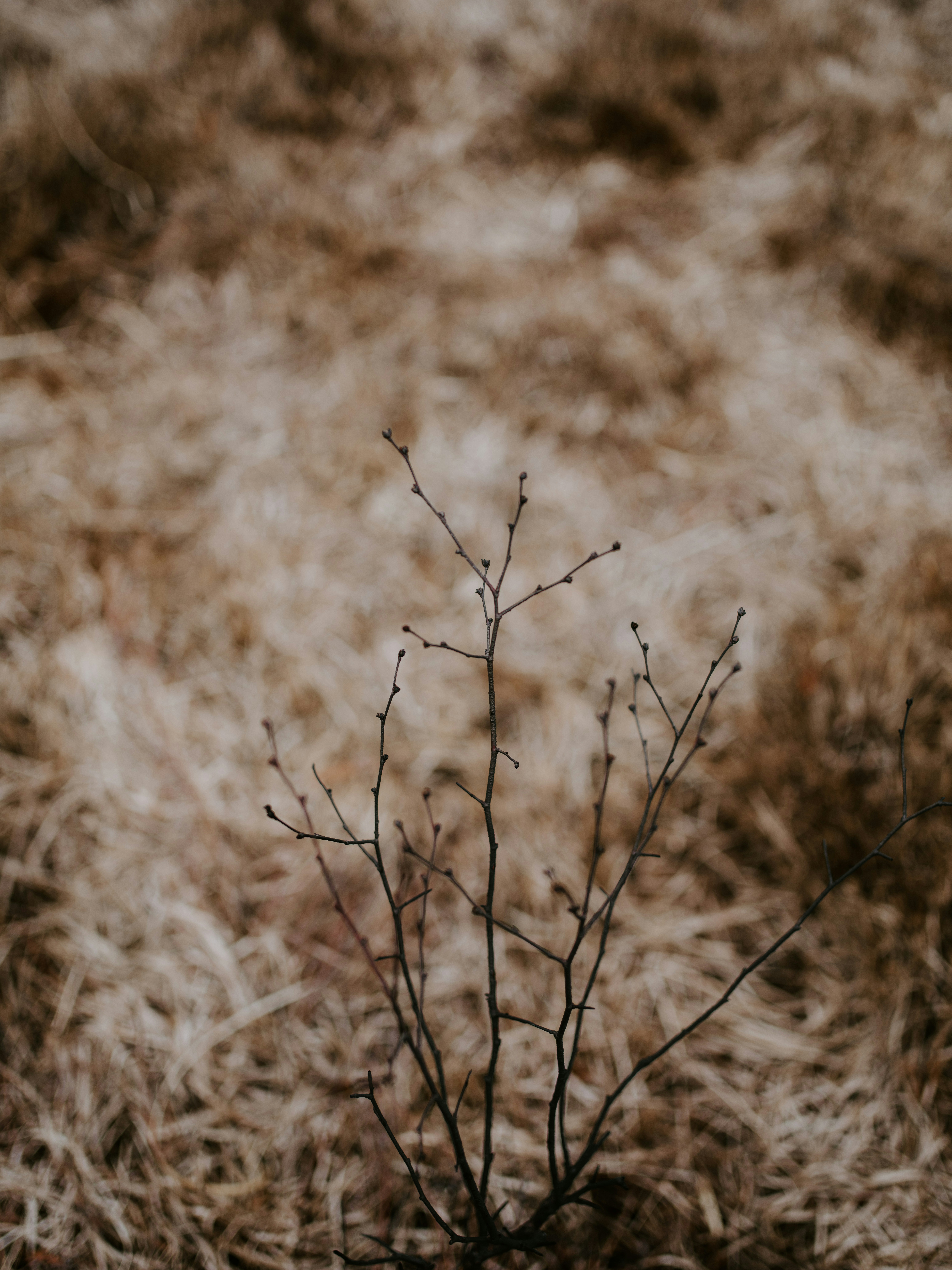 Photo by anniespratt