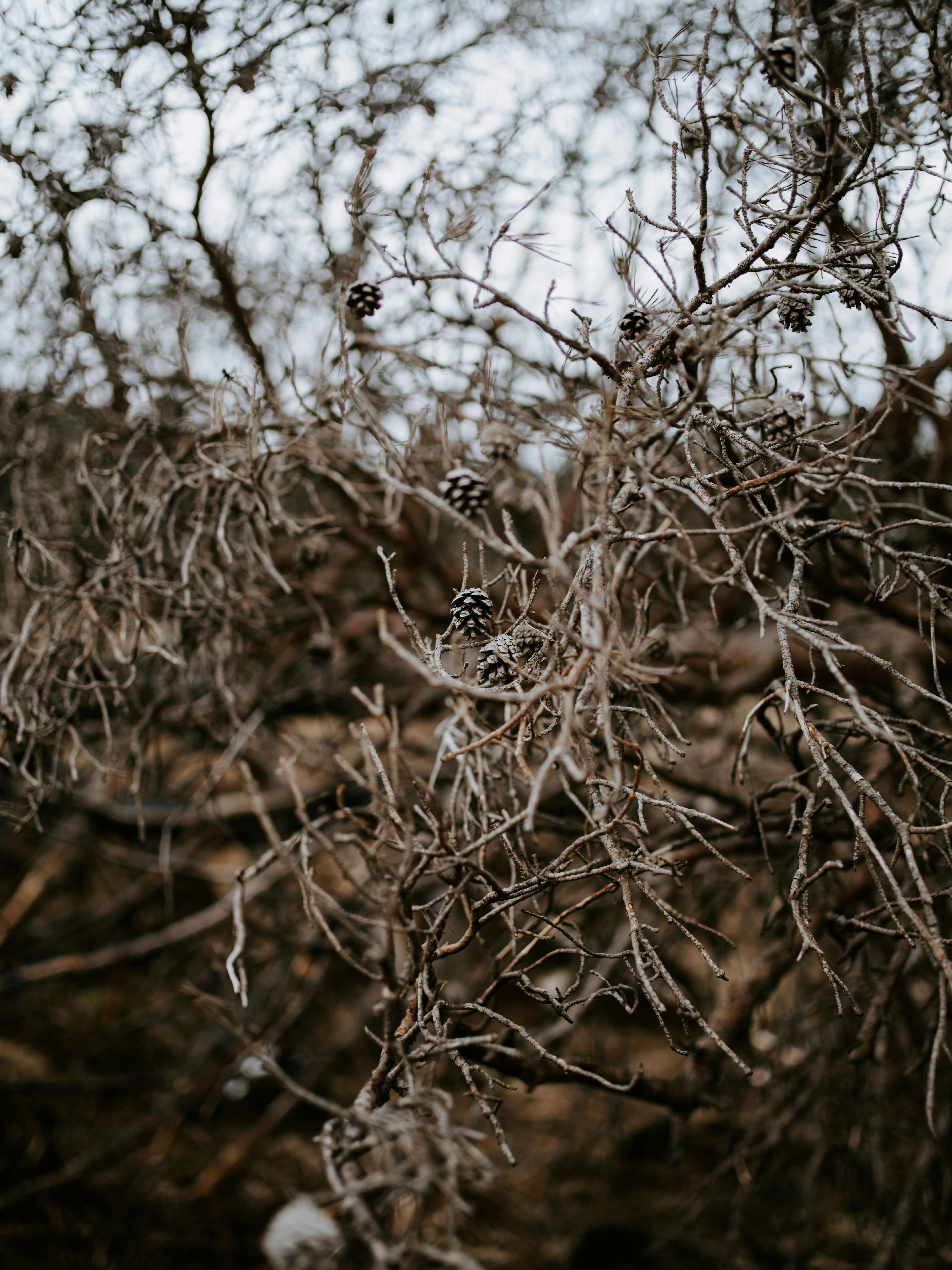 Photo by anniespratt