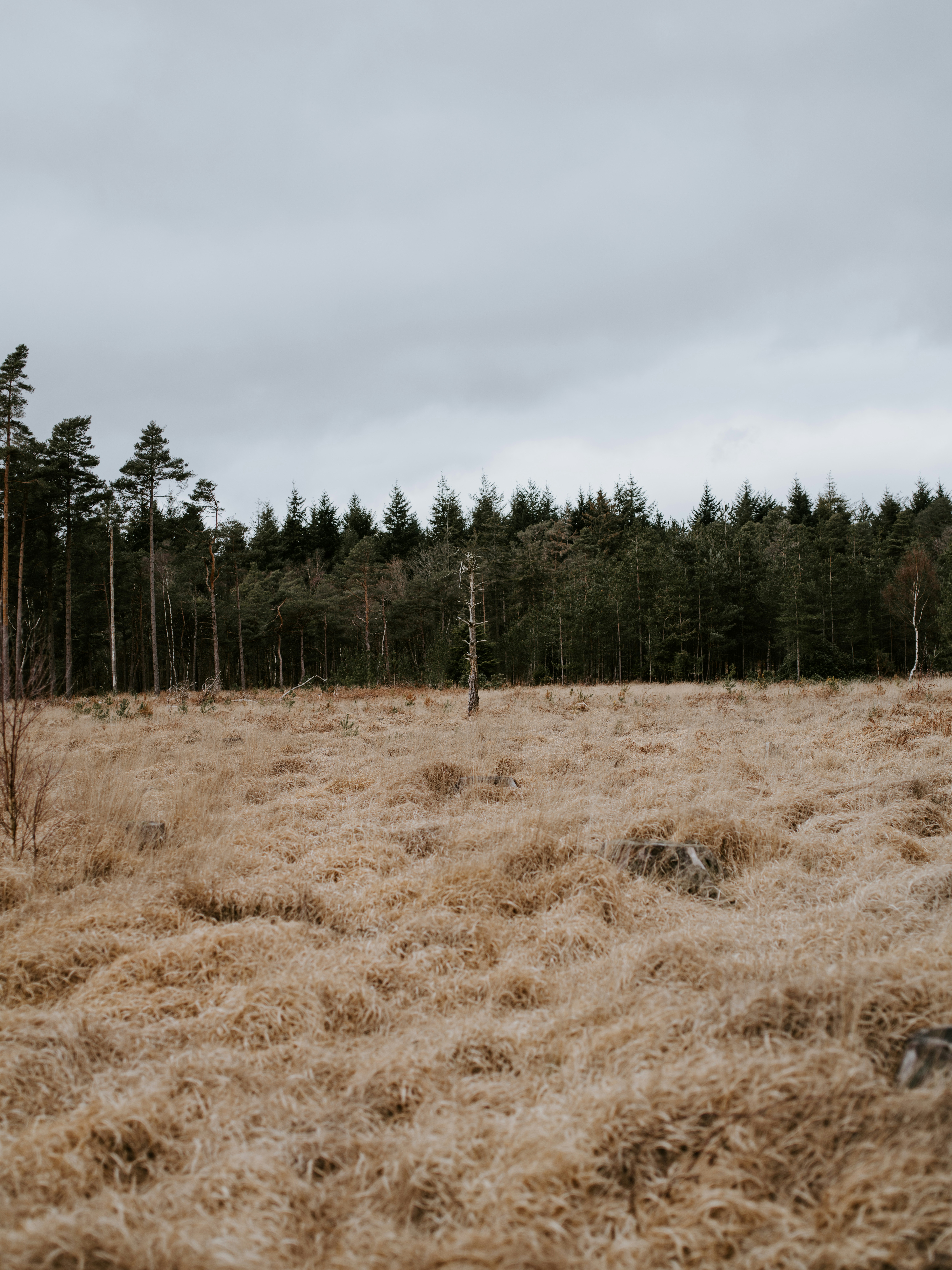 Photo by anniespratt