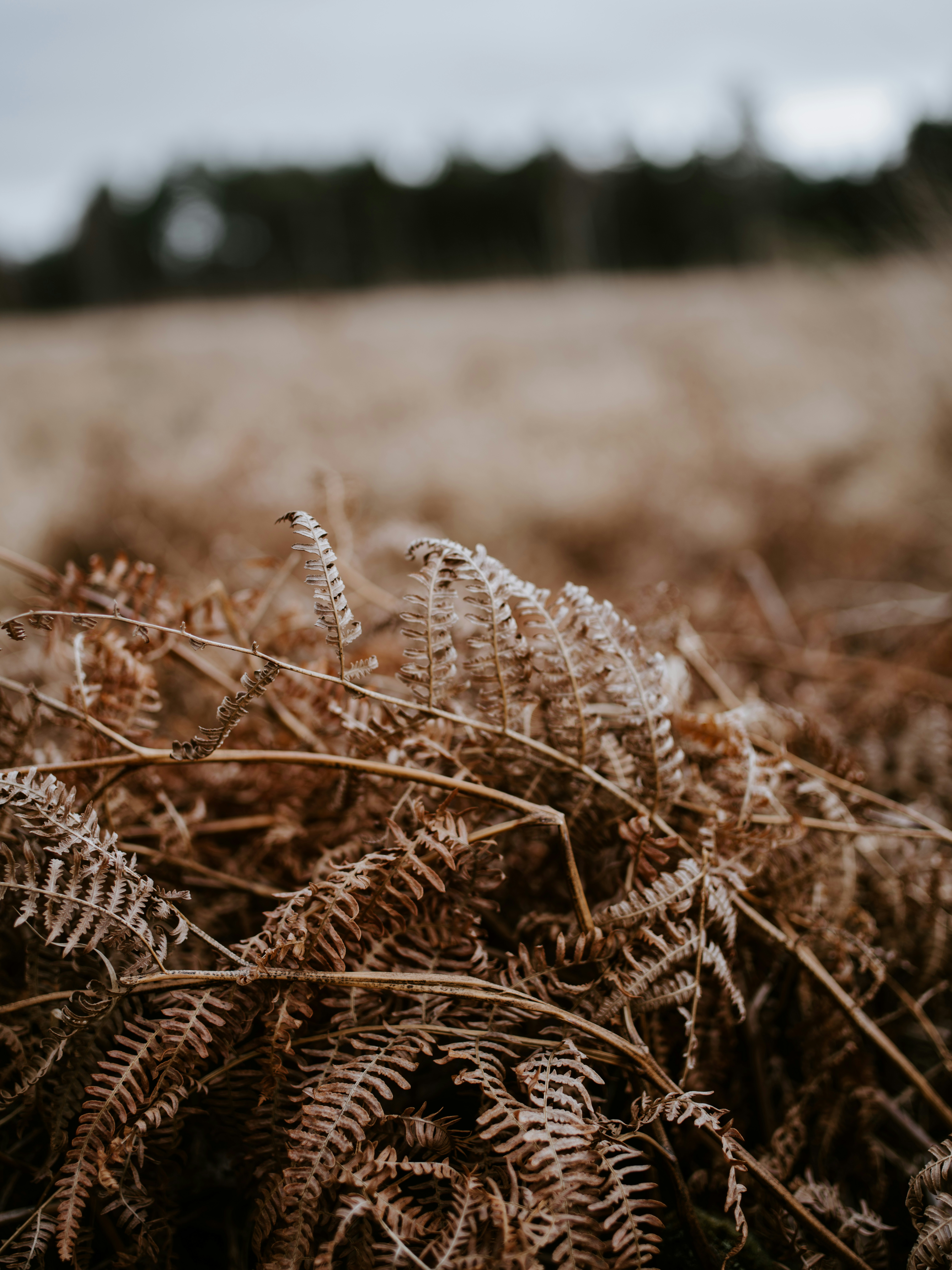 Photo by anniespratt