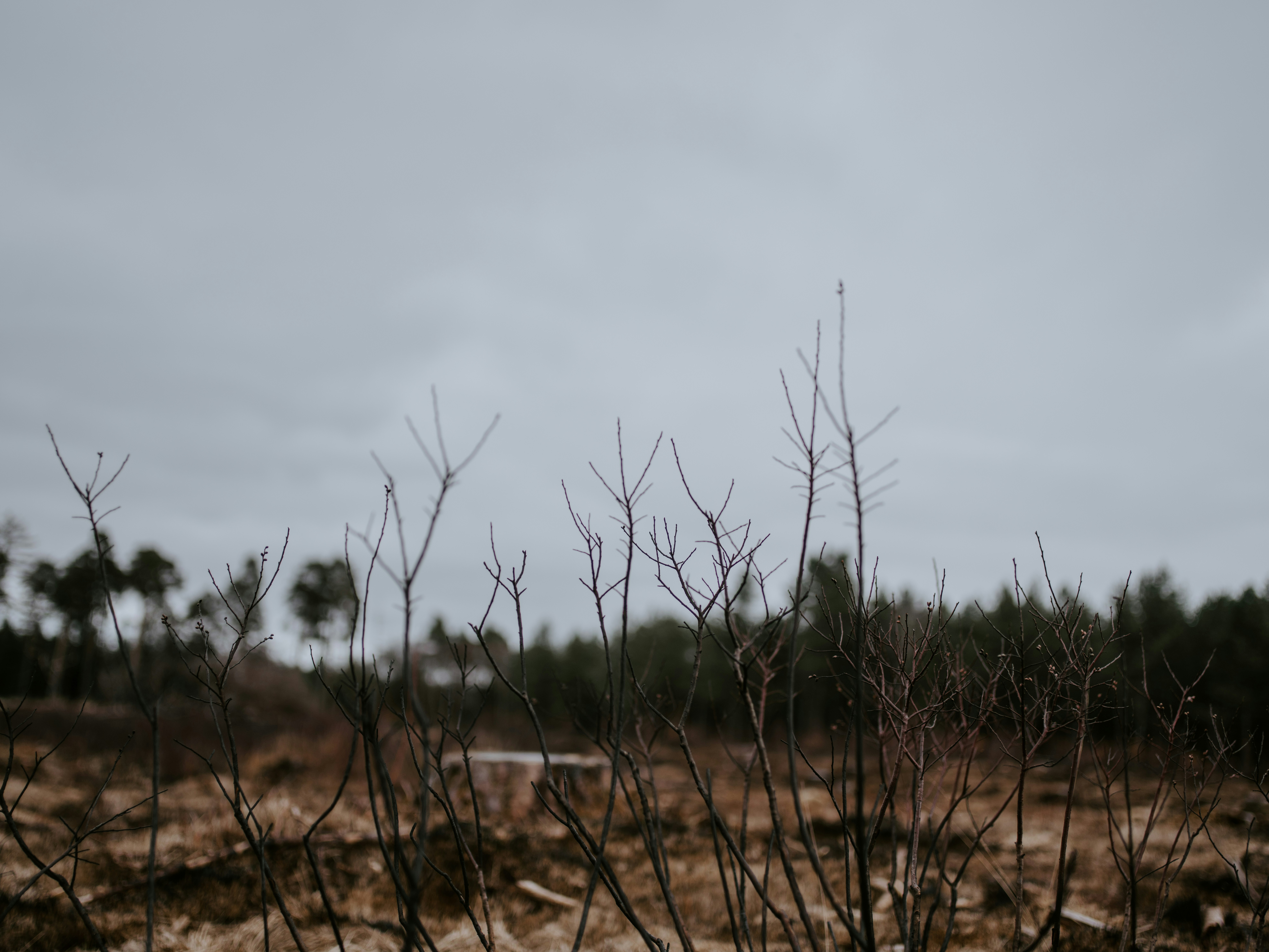 Photo by anniespratt