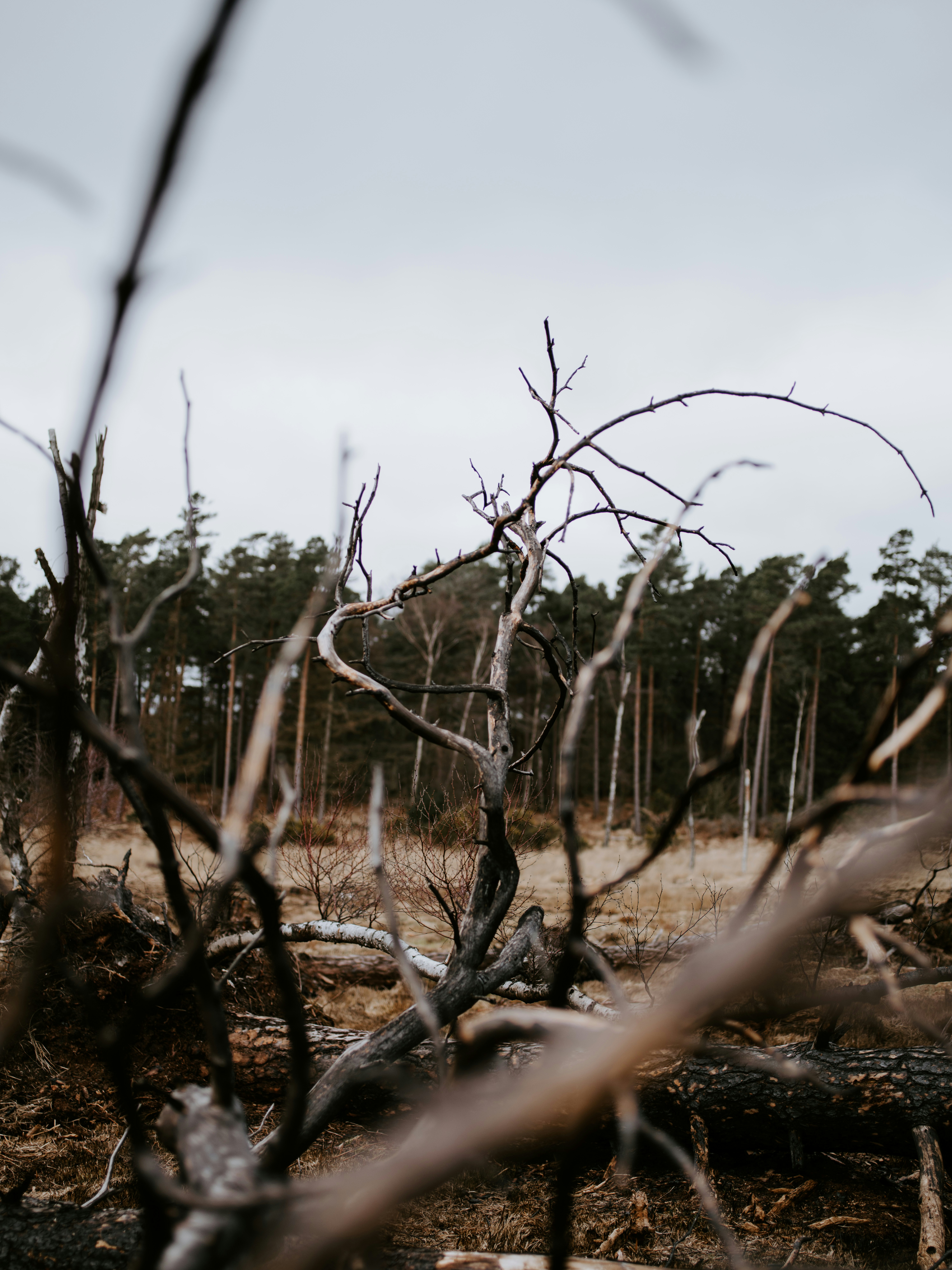 Photo by anniespratt