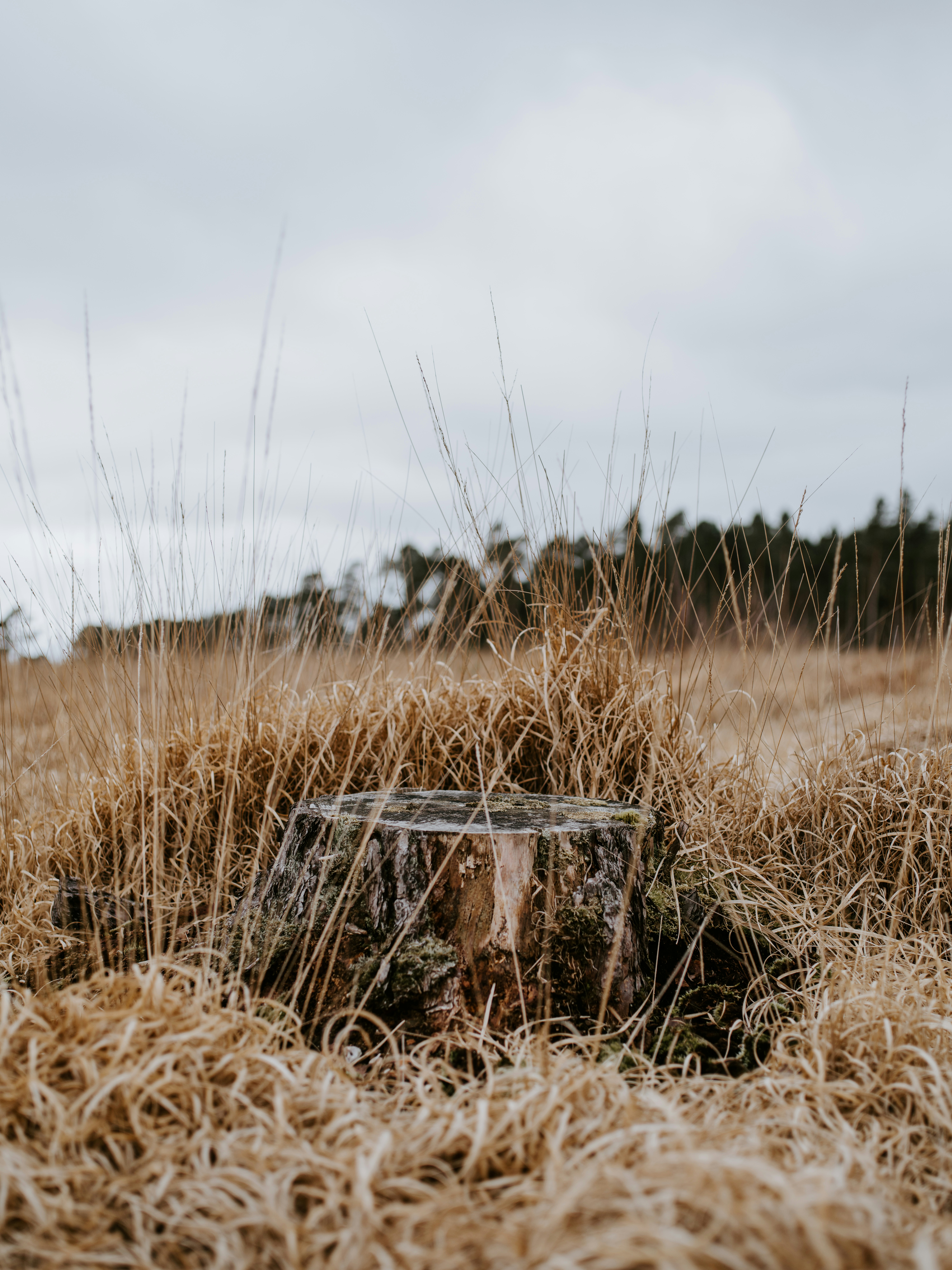 Photo by anniespratt