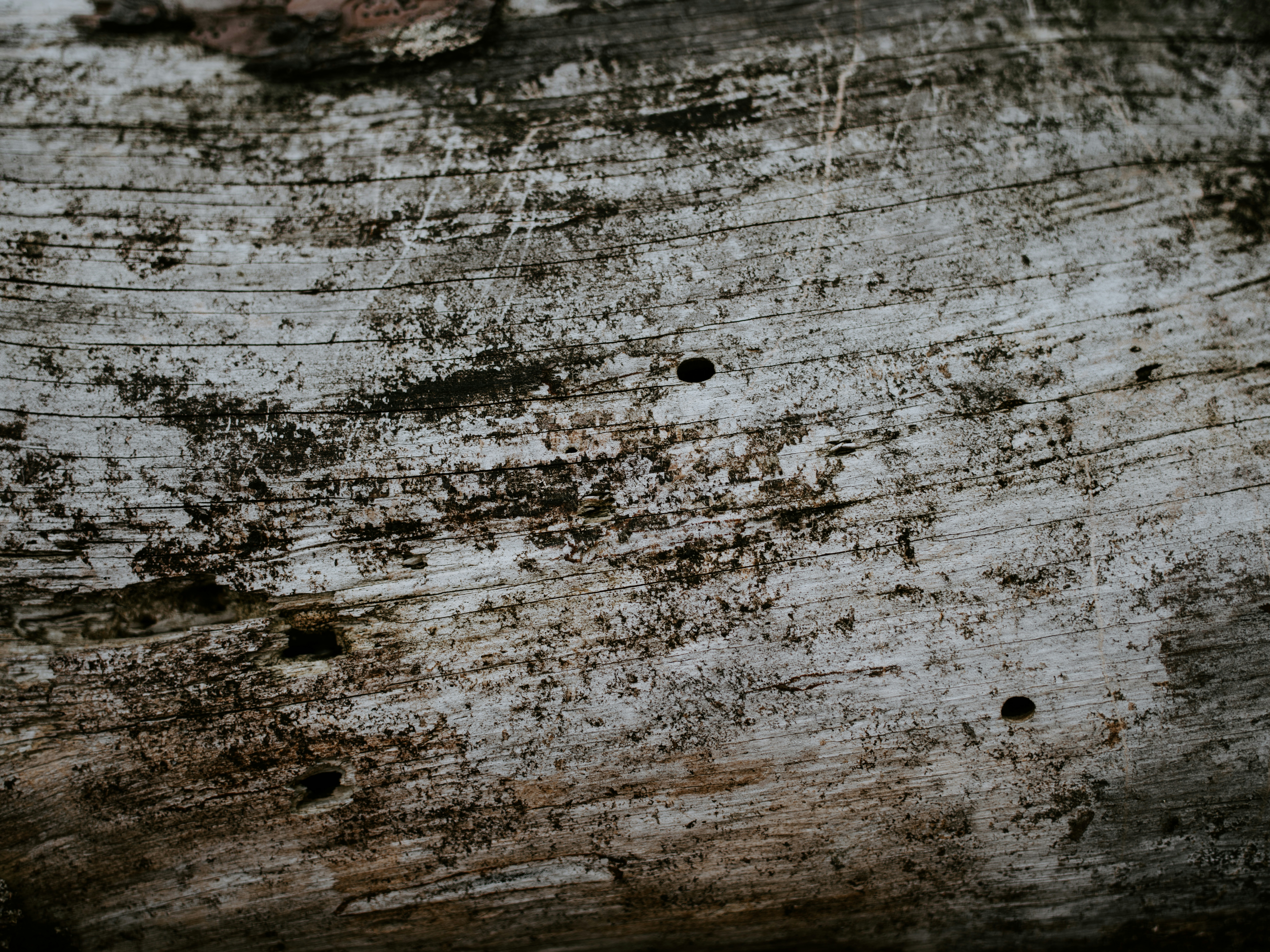 Photo by anniespratt