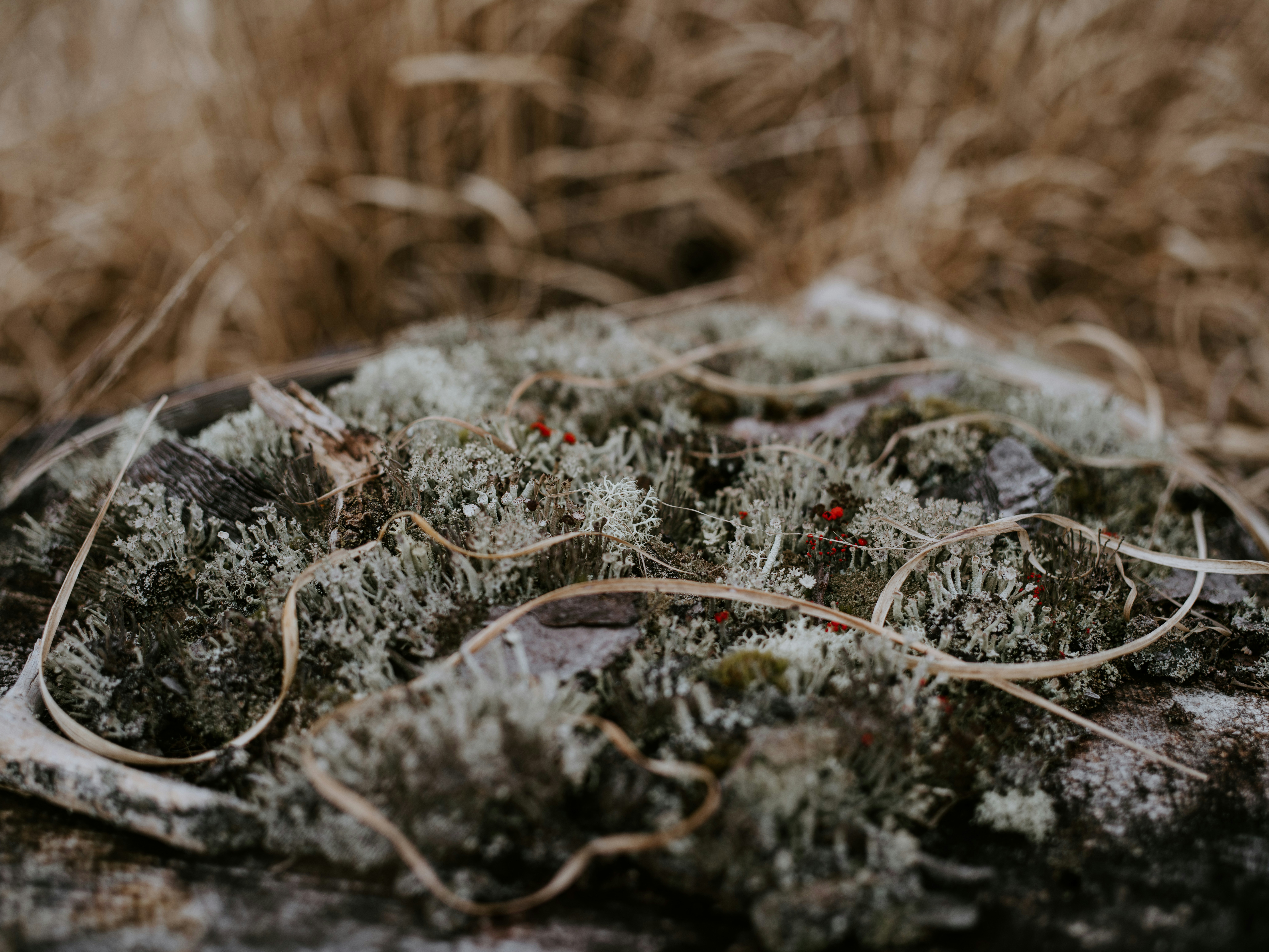 Photo by anniespratt