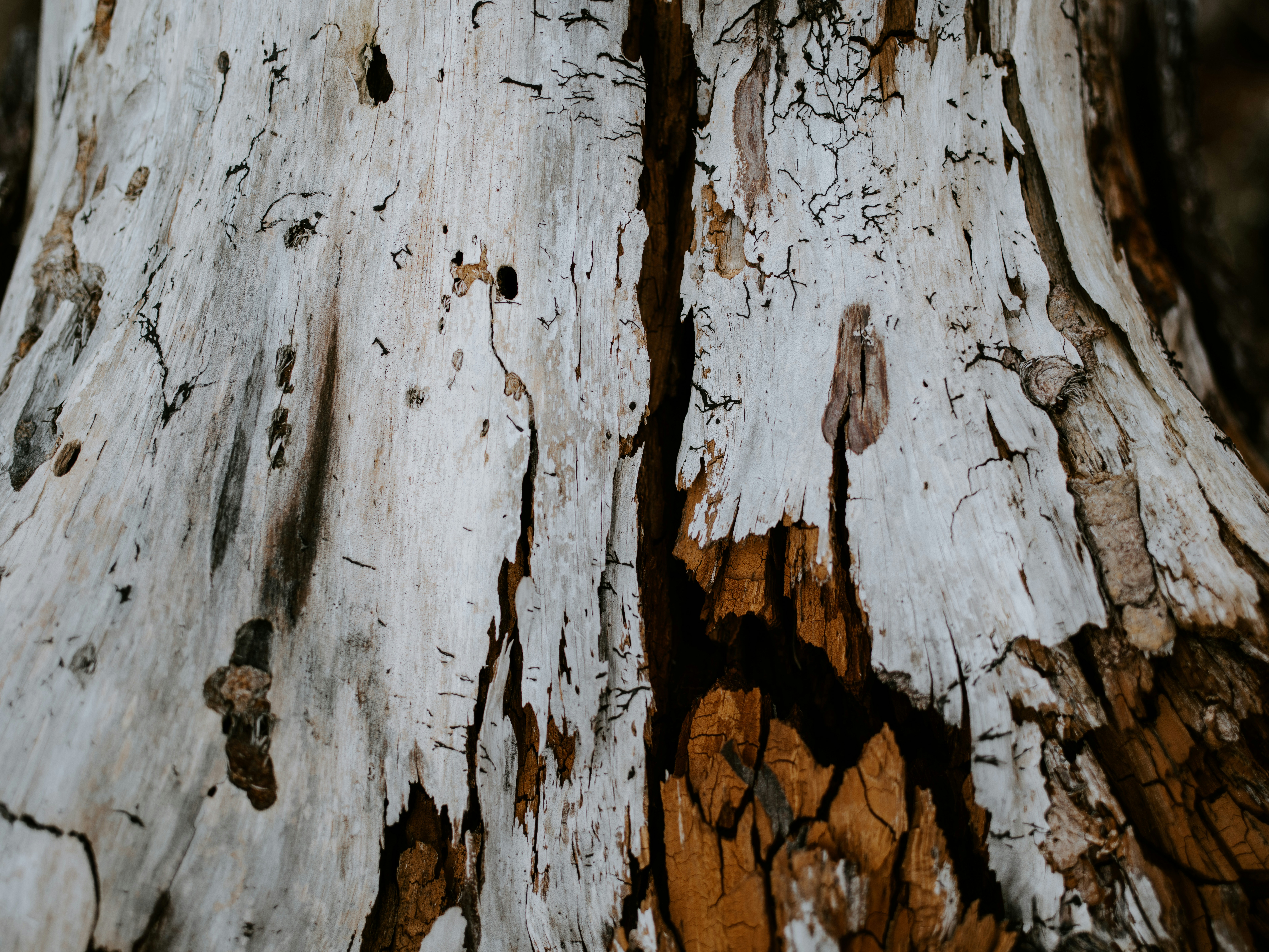 Photo by anniespratt