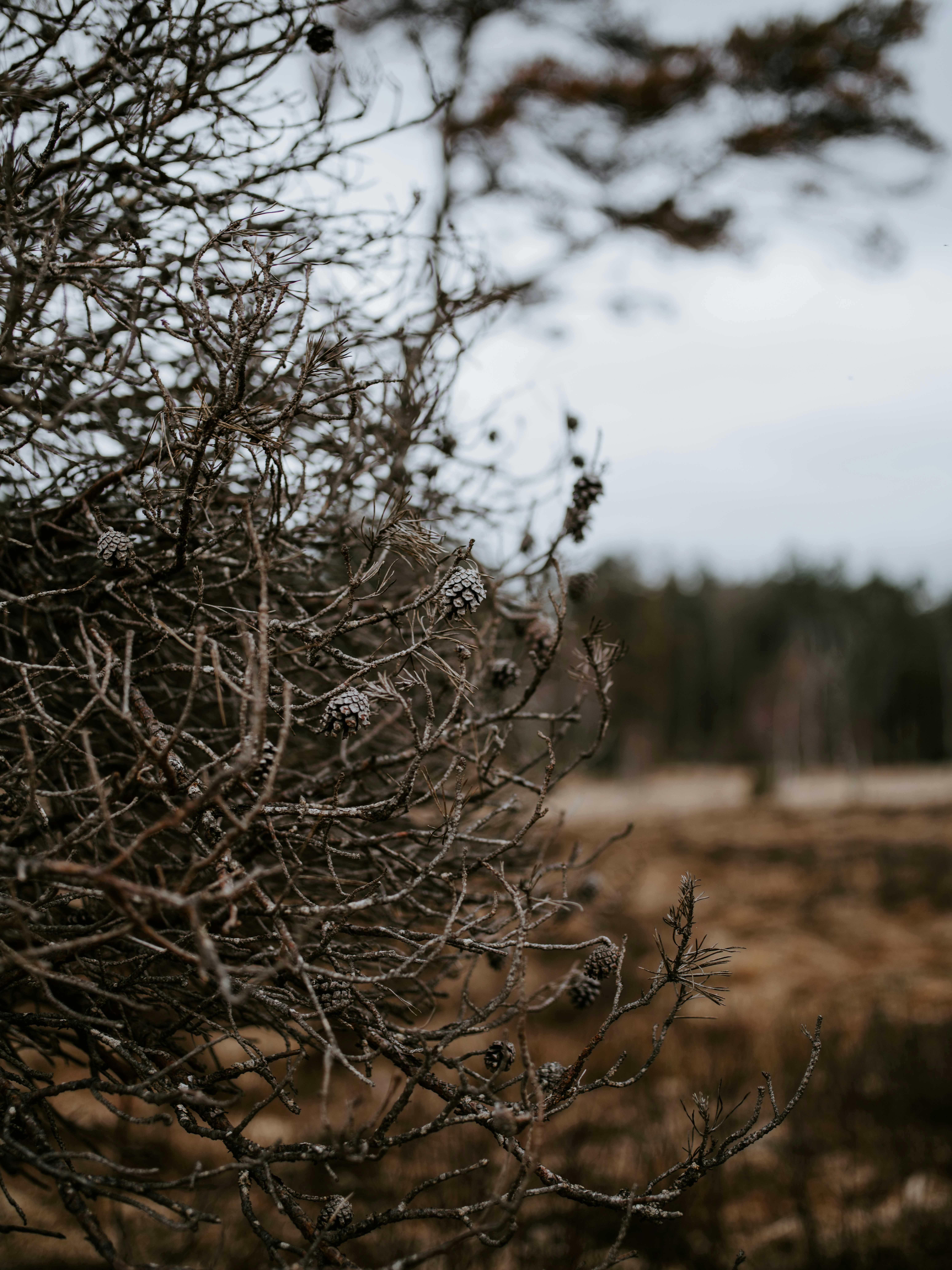 Photo by anniespratt