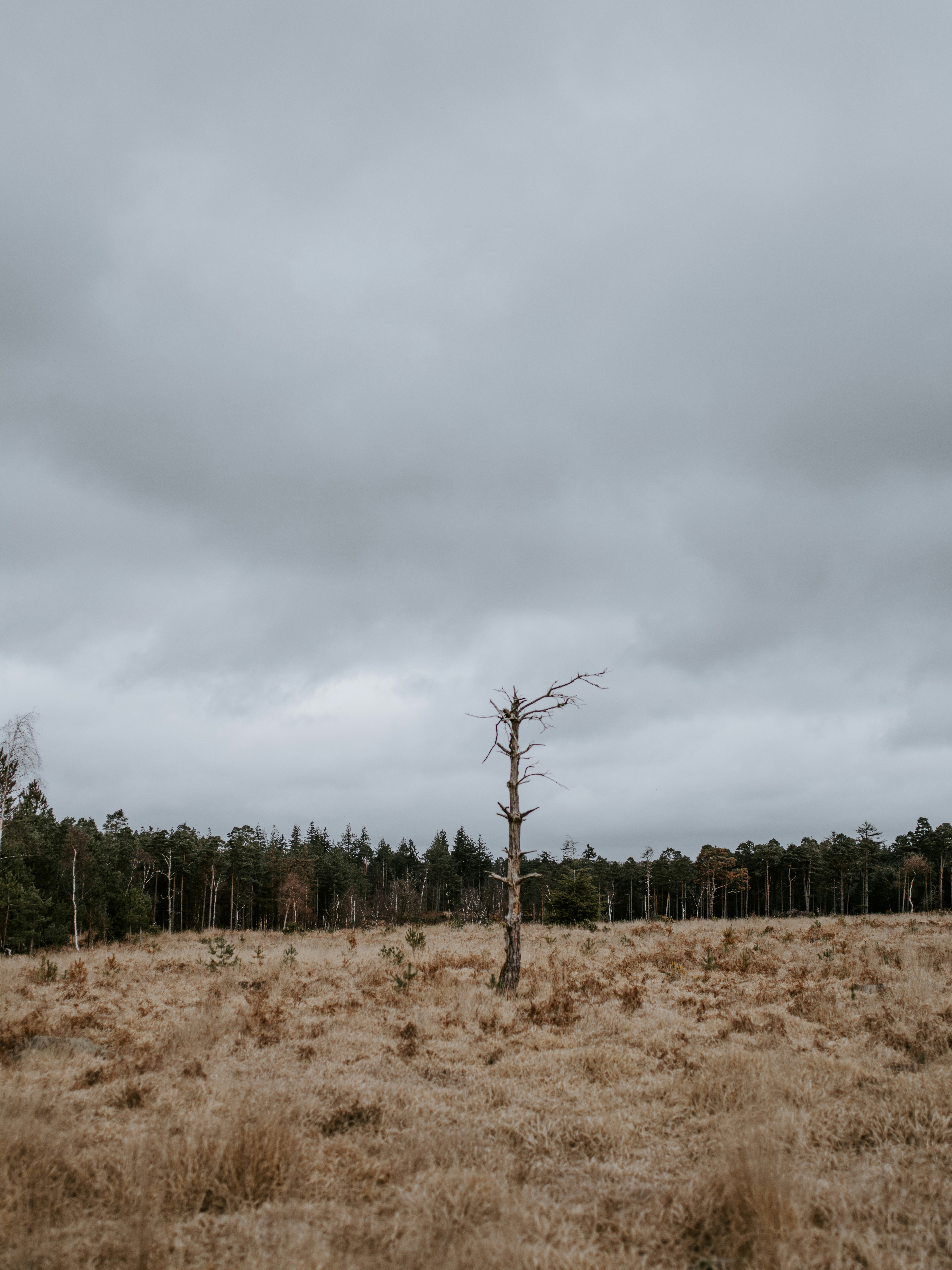 Photo by anniespratt