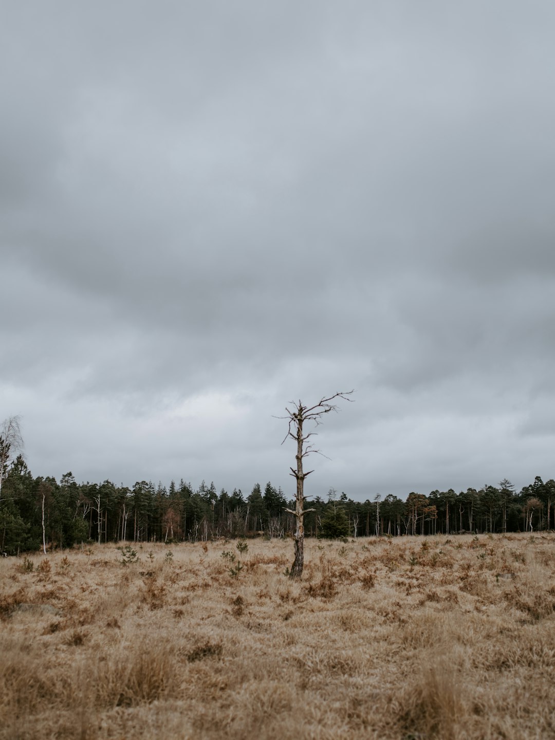 gray clouds