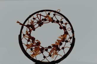 A dreamcatcher with intricate woven patterns and tassels suspended from a circular frame. The net is adorned with knots and beads, creating a symmetrical design.