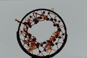 A dreamcatcher with intricate woven patterns and tassels suspended from a circular frame. The net is adorned with knots and beads, creating a symmetrical design.