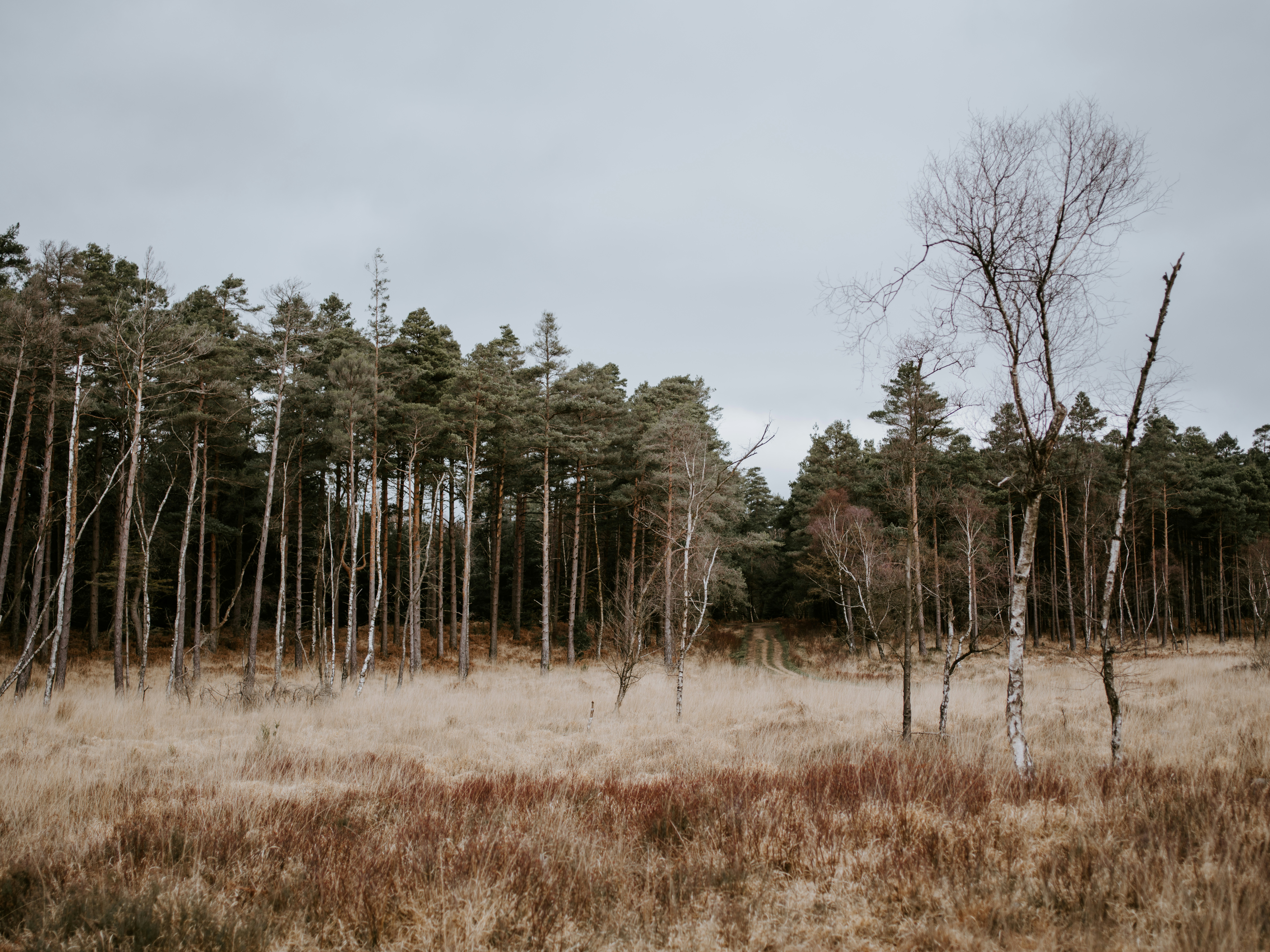 Photo by anniespratt