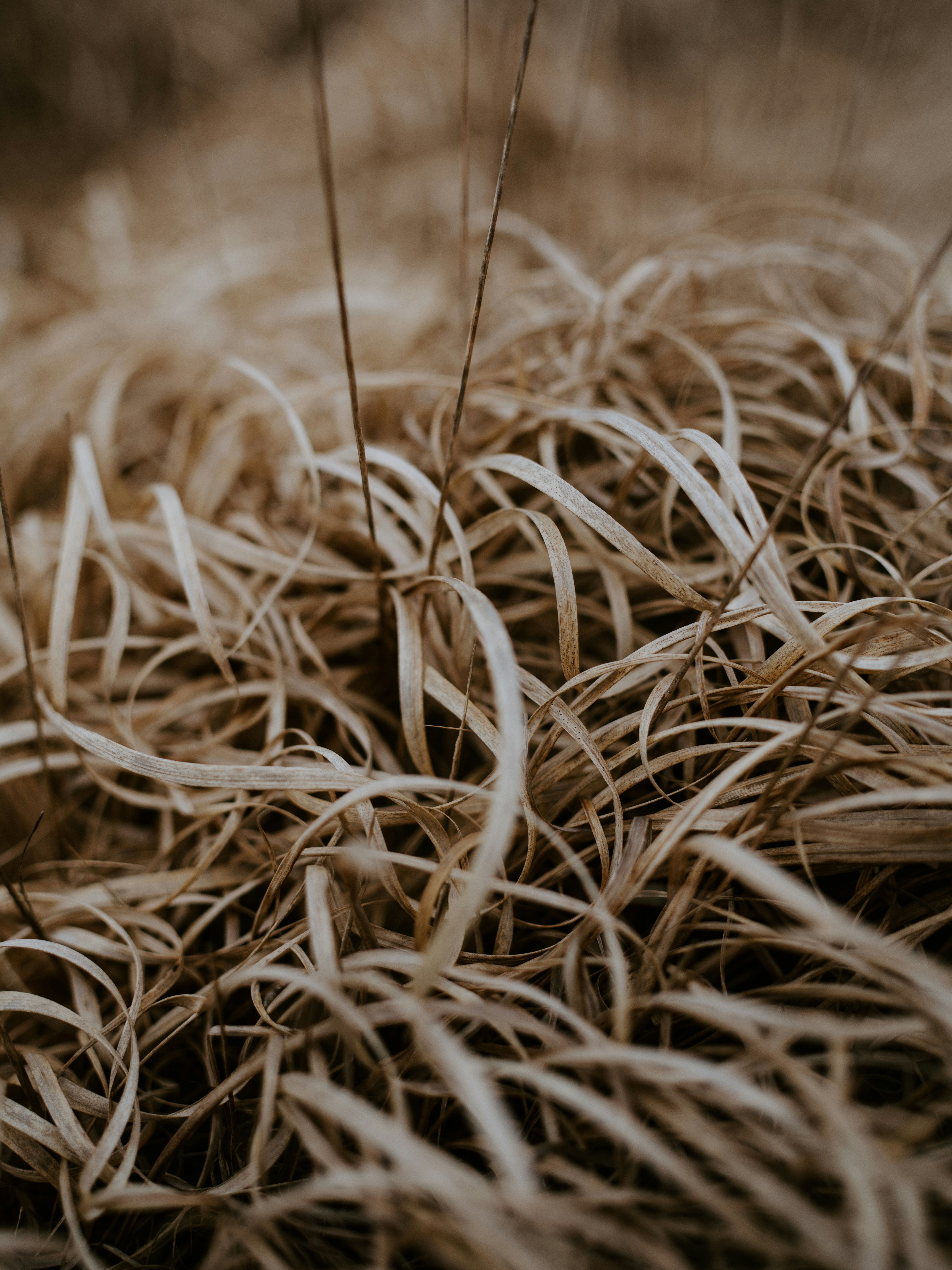 Photo by anniespratt