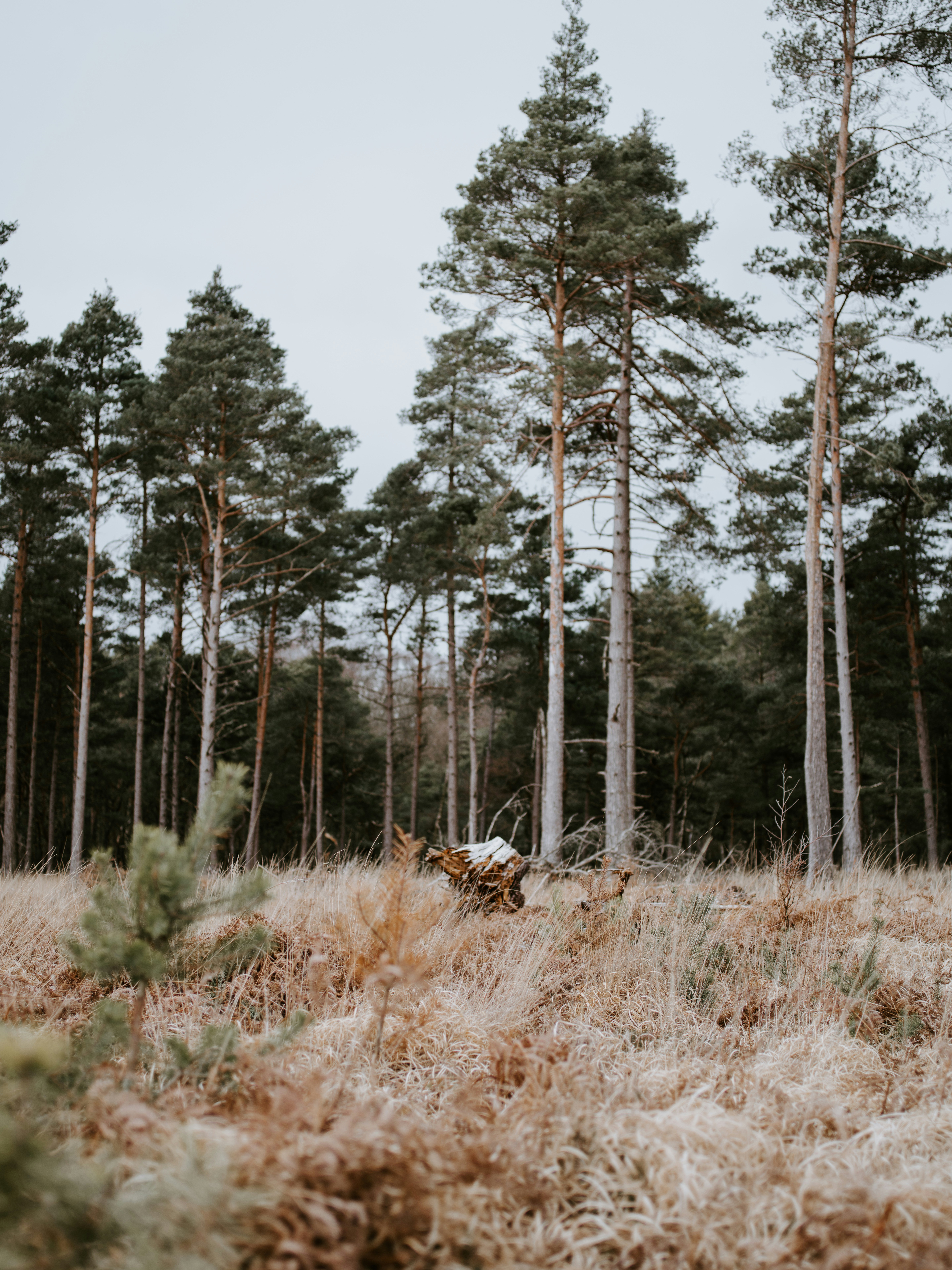 Photo by anniespratt