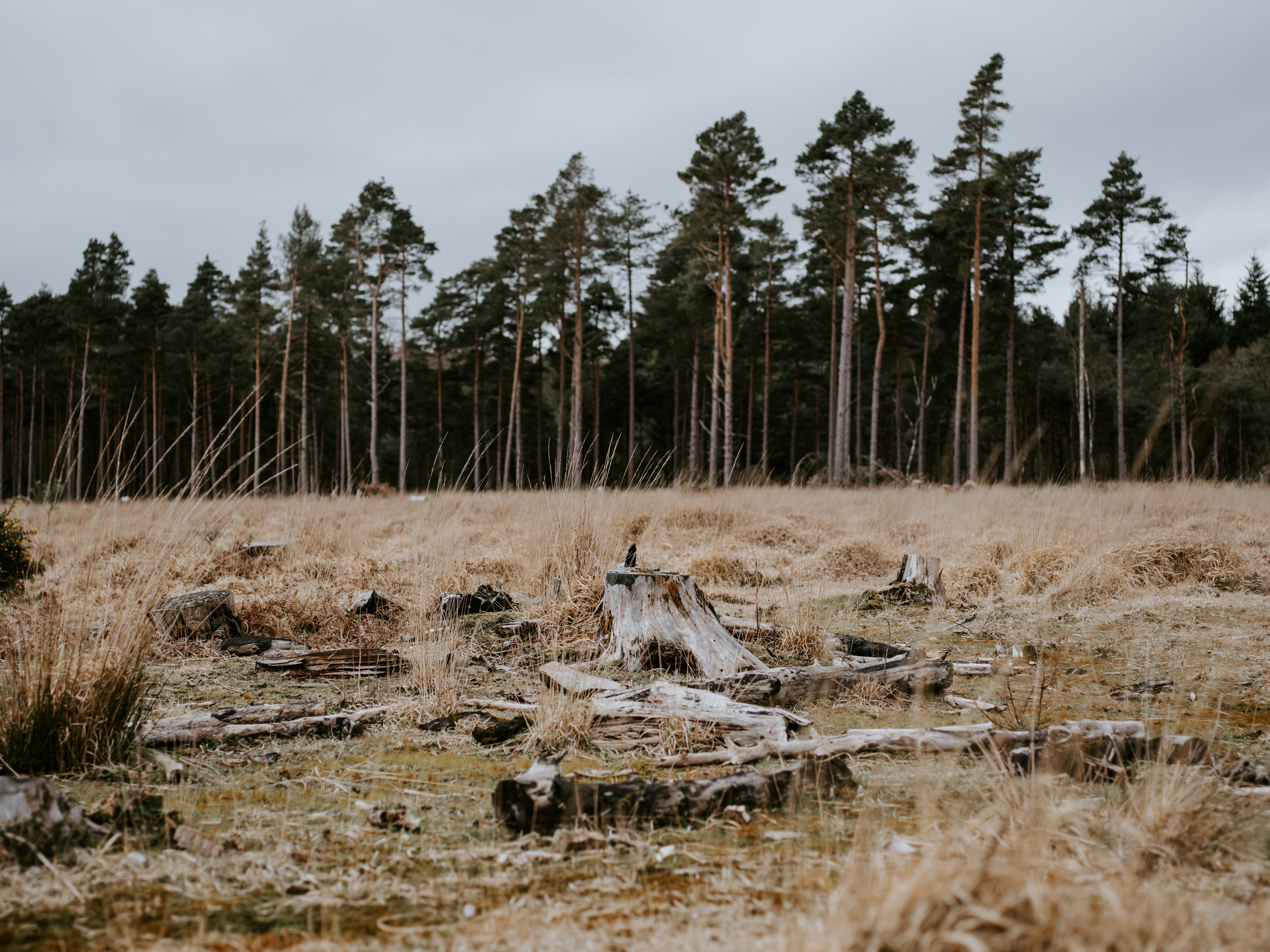 Photo by anniespratt