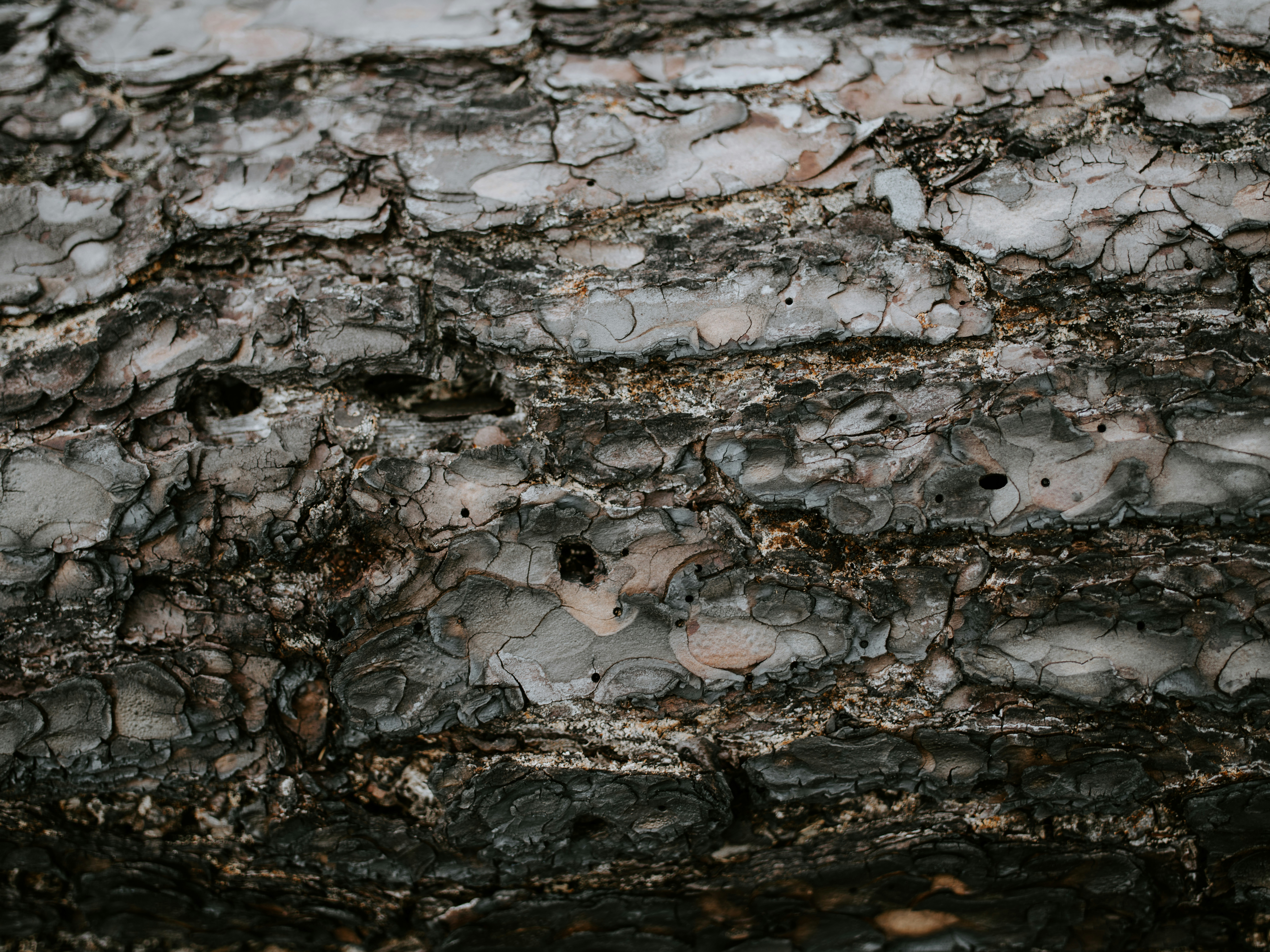 Photo by anniespratt