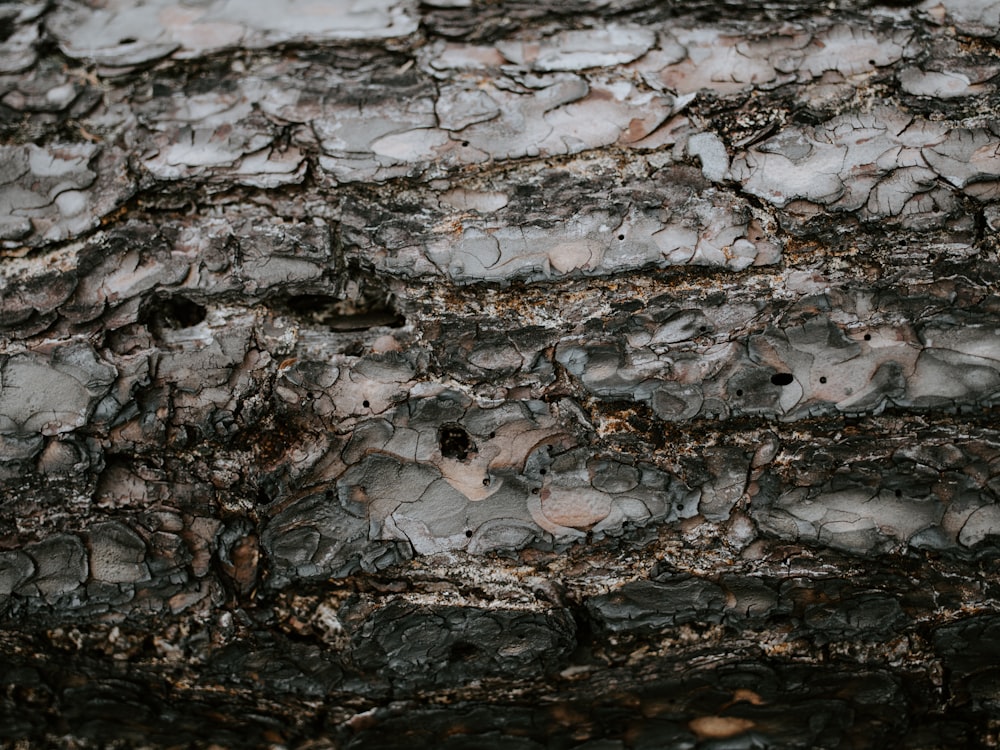 a close up of a rock surface with small holes in it