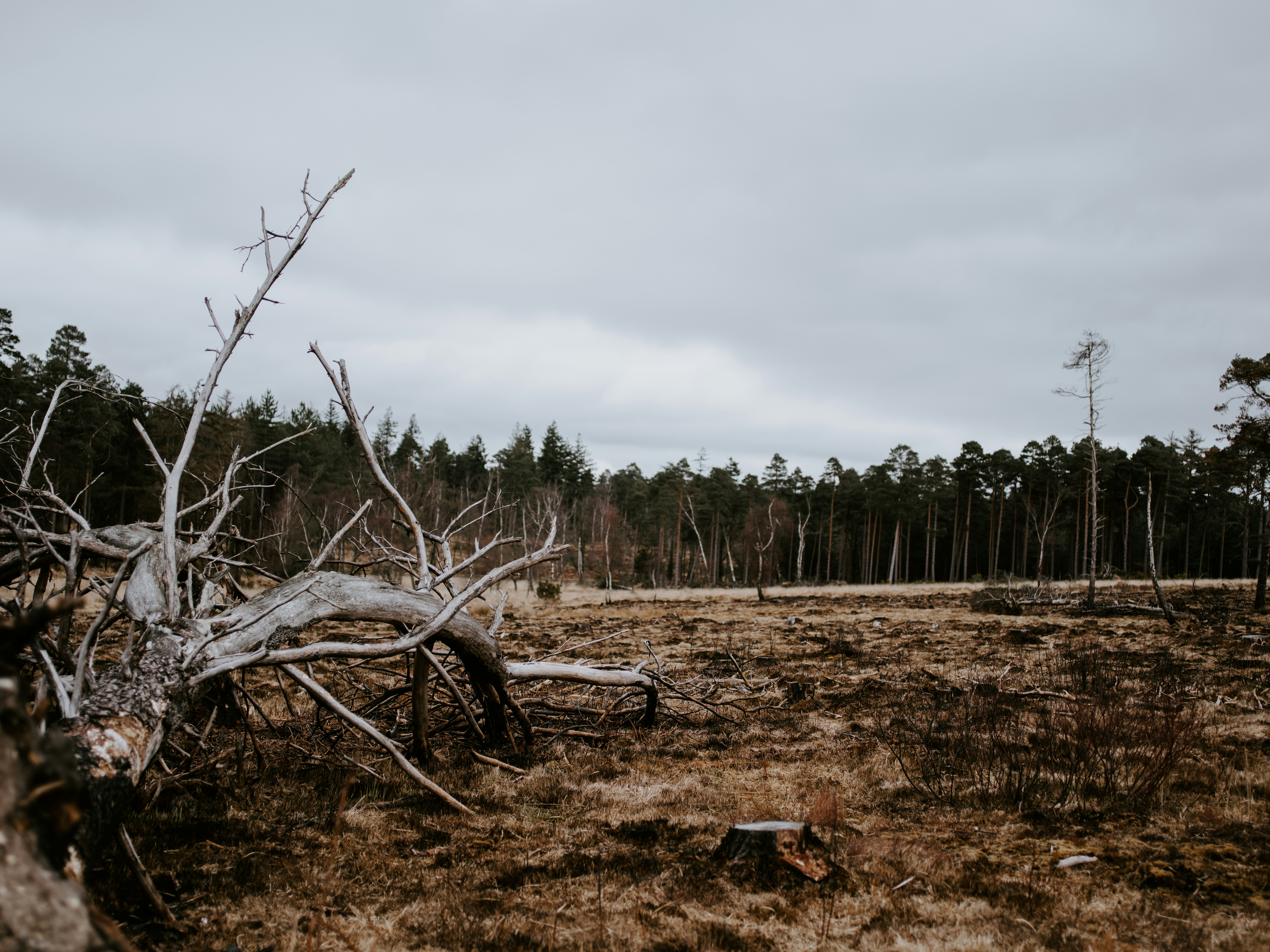 Photo by anniespratt