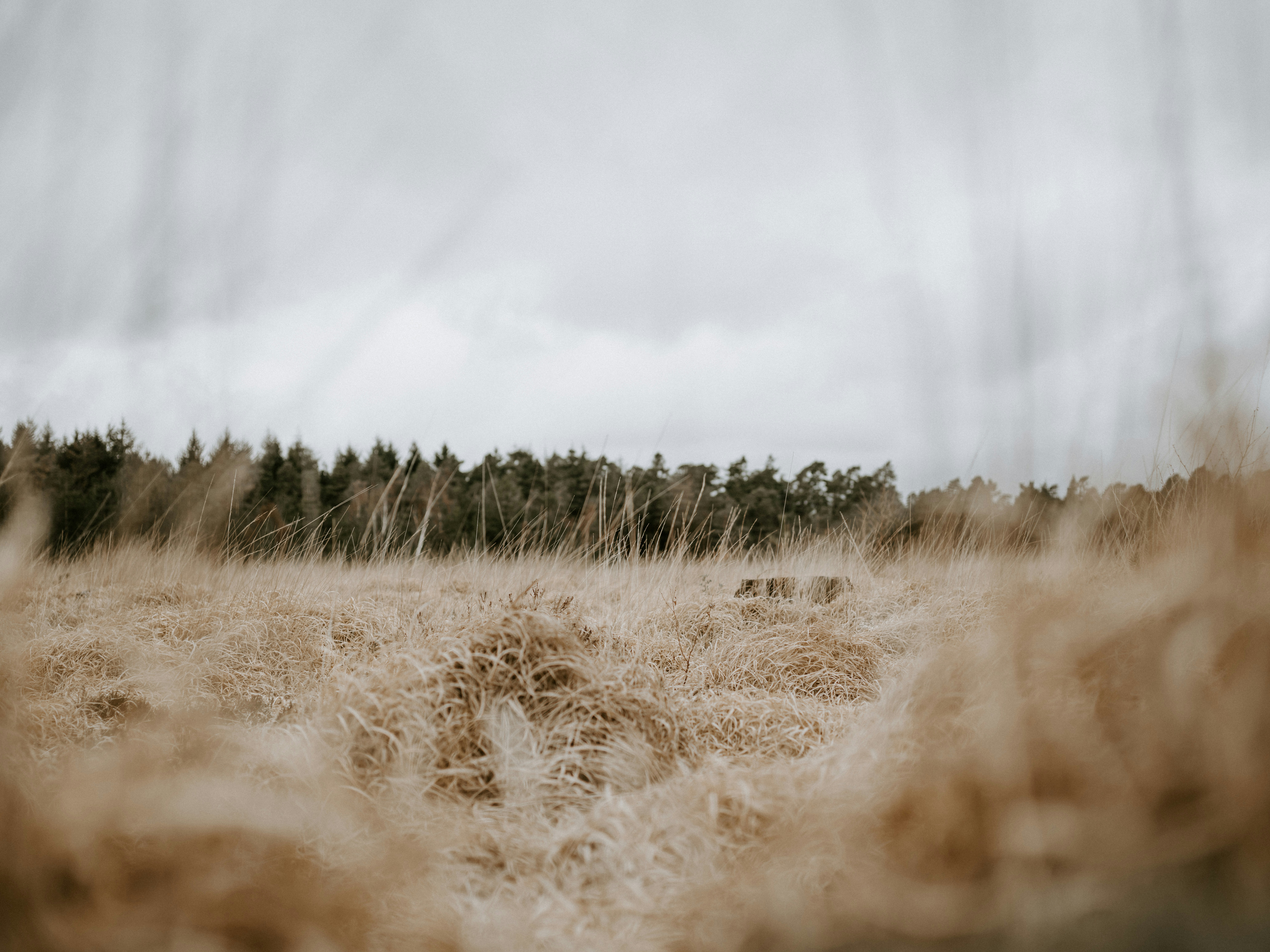Photo by anniespratt